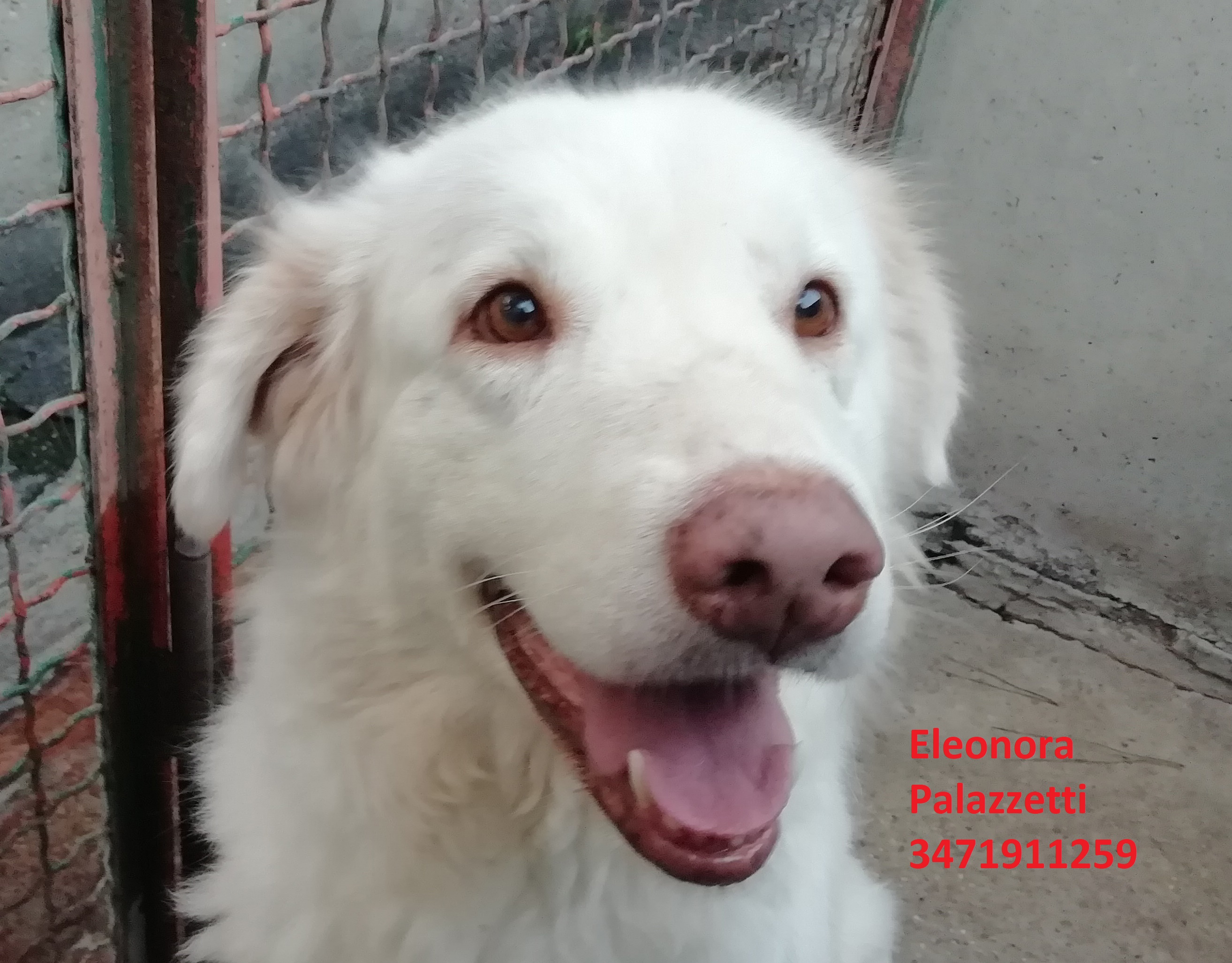 Beba 24.9.2020 n. 1