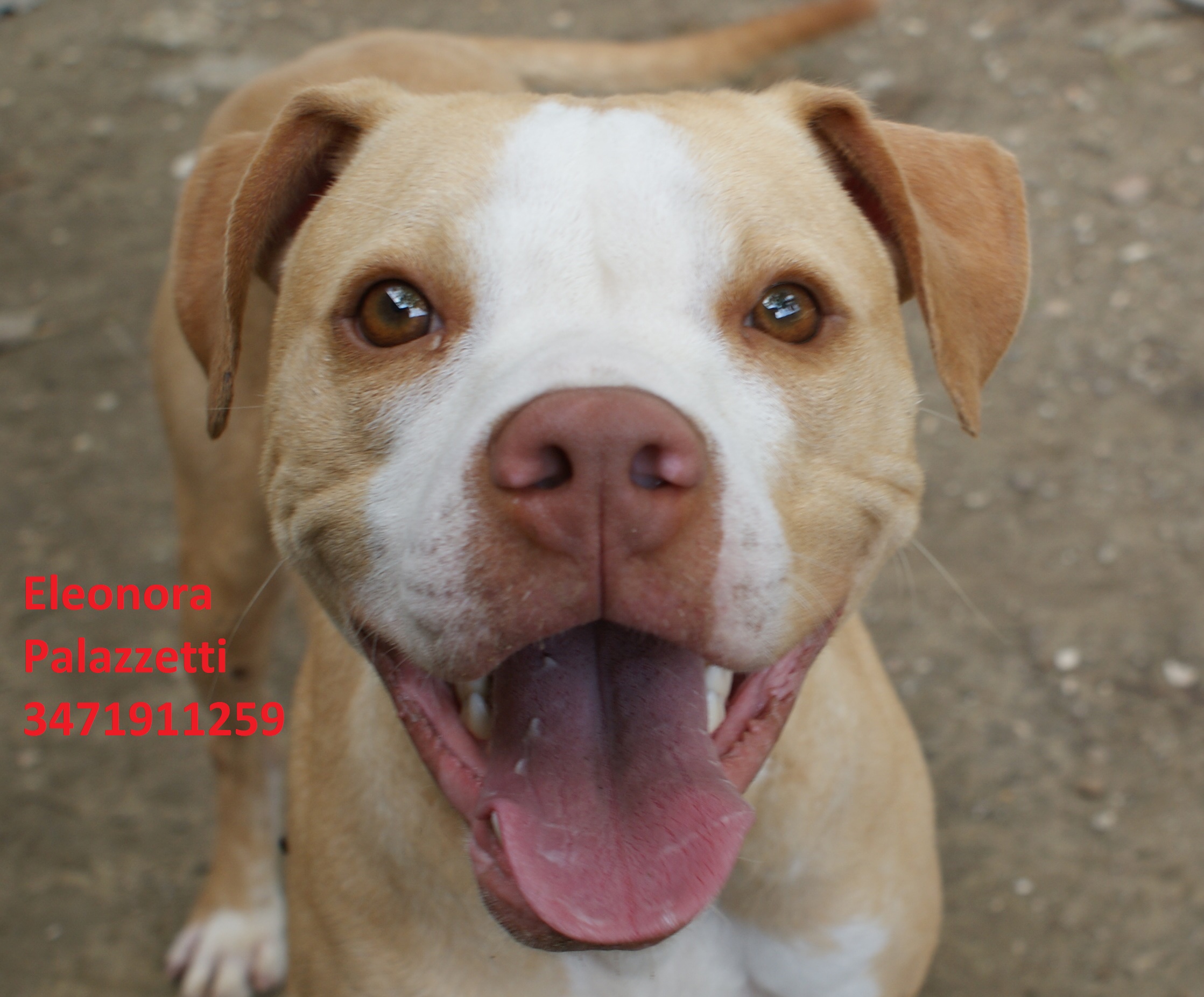 Chantal 30.9.2020 n. 7
