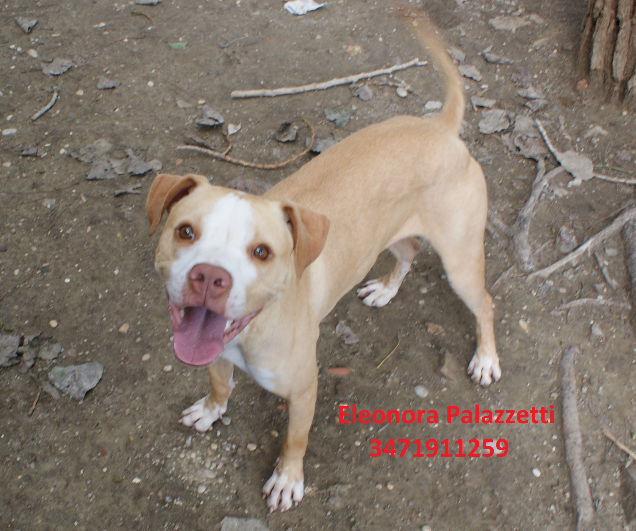 Chantal 30.9.2020 n. 9