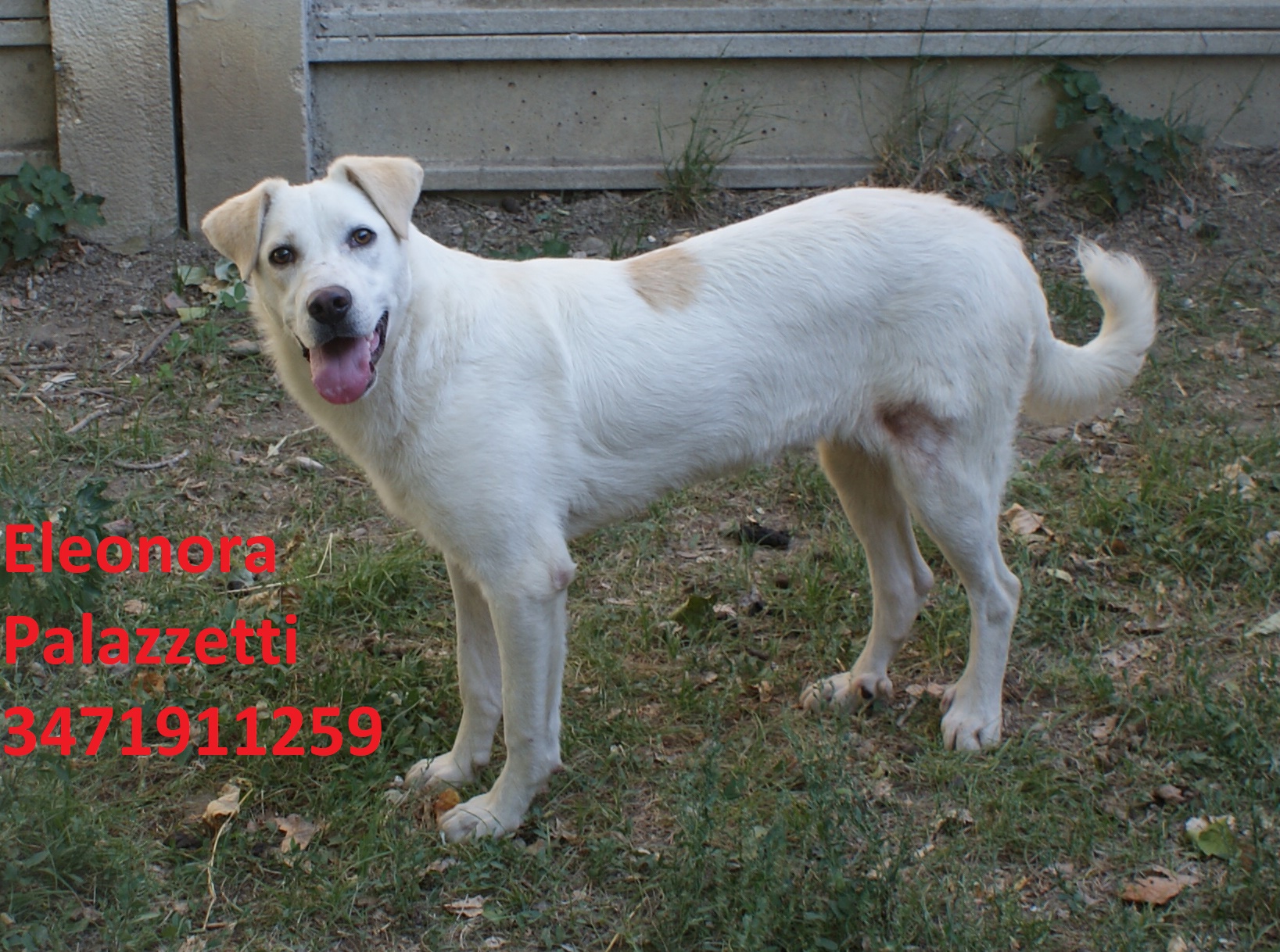 Consuelo 29.6.2020 n. 2
