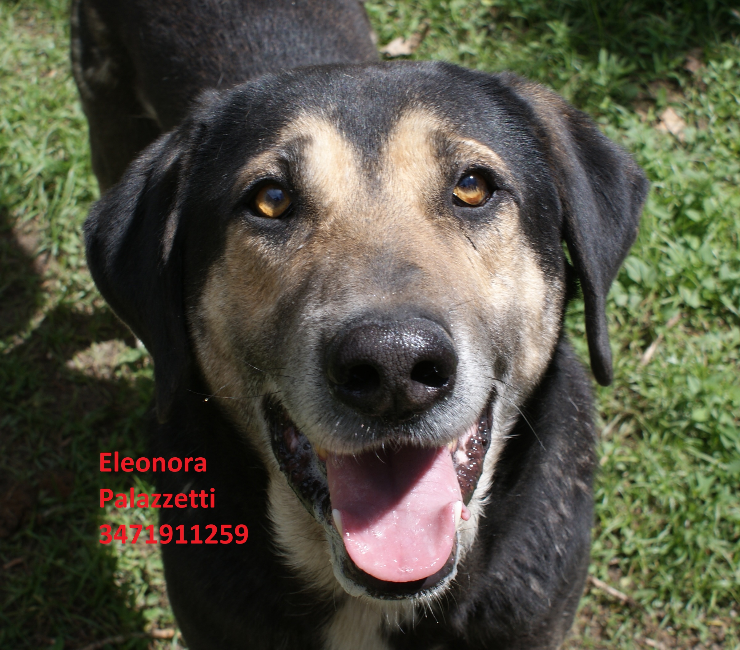 Gus 14.5.2019 n. 5