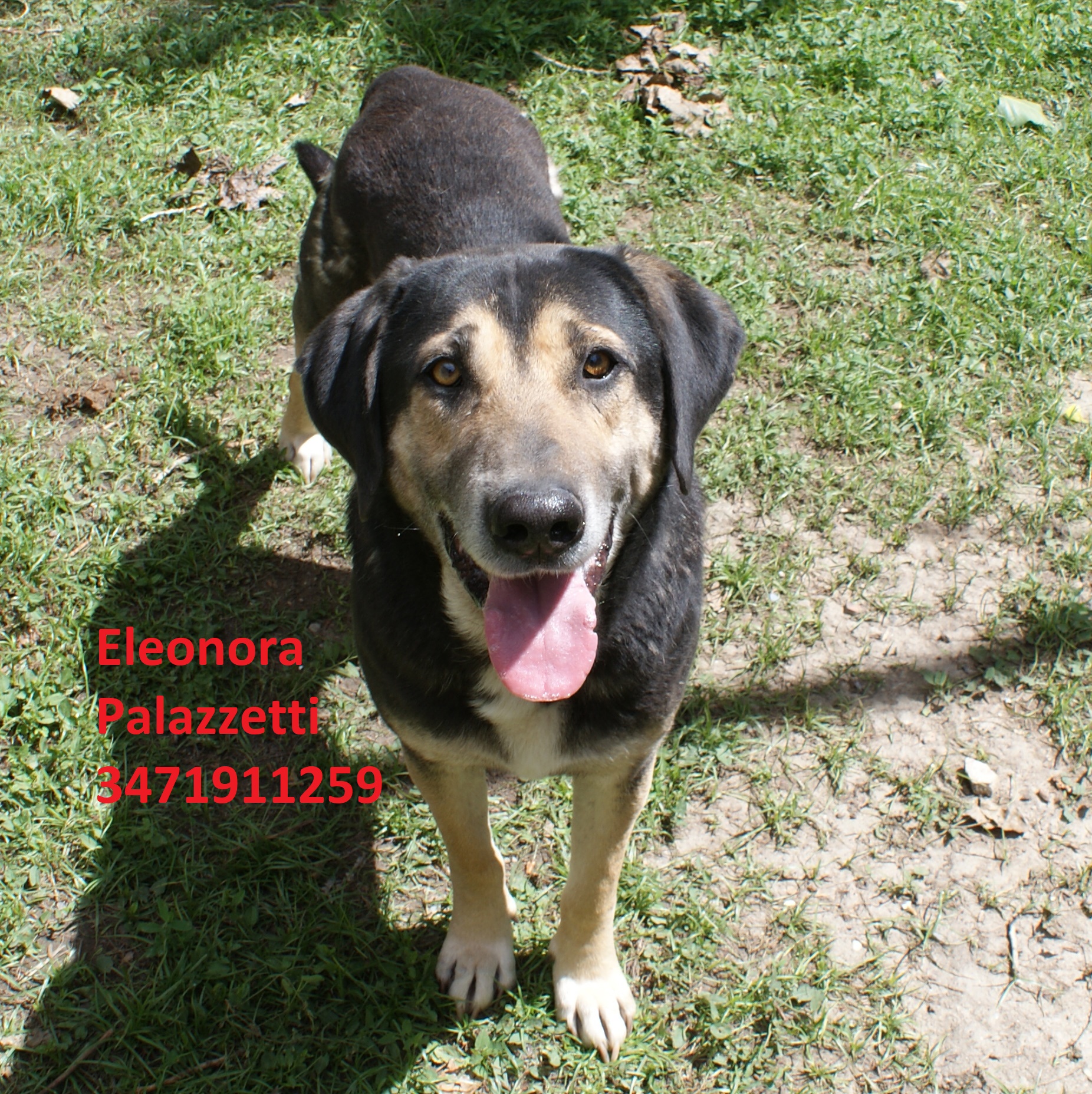 Gus 14.5.2019 n. 6