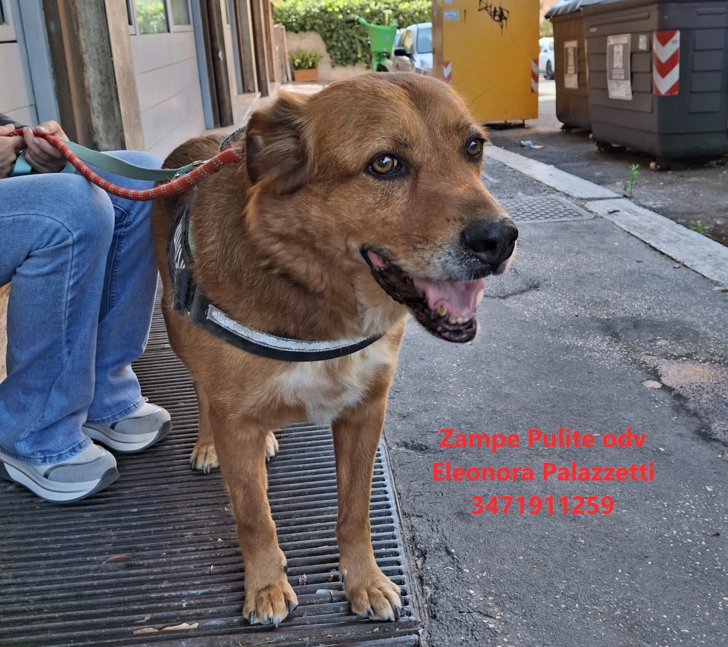 Kinder 16.07.2024 n. 6