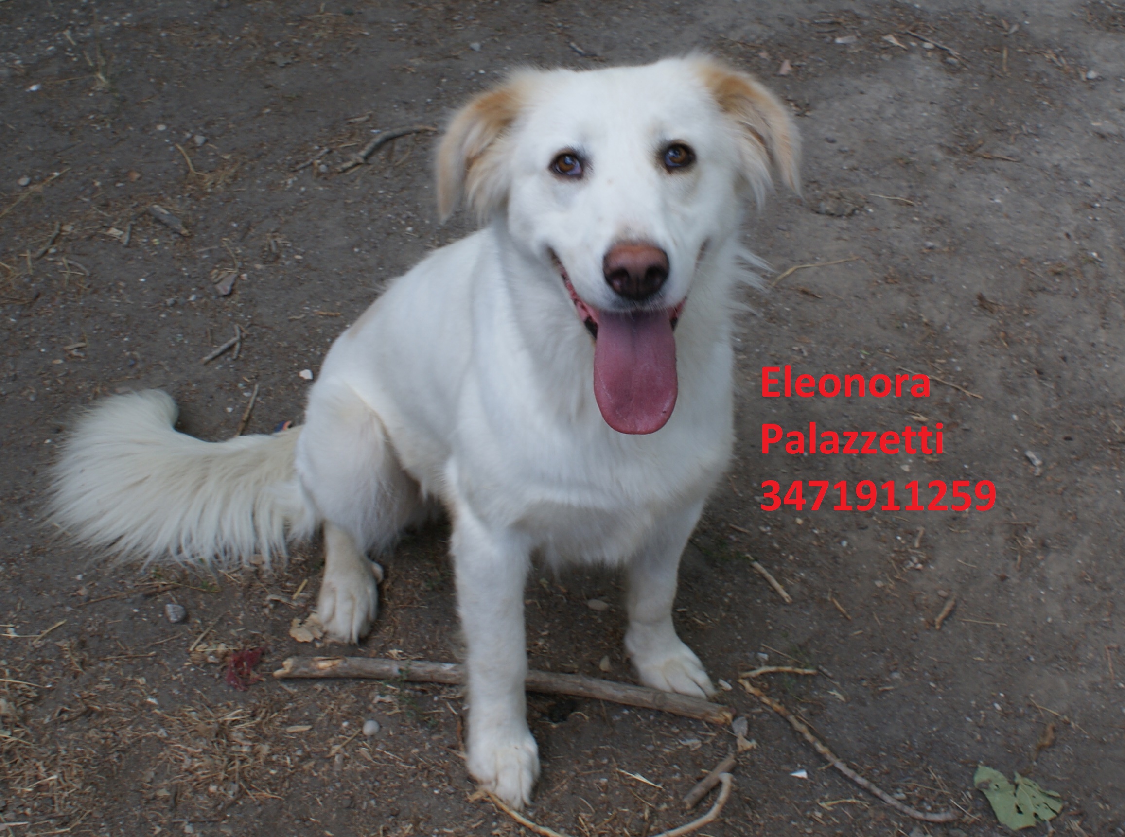 Molly 24.8.2020 n. 5