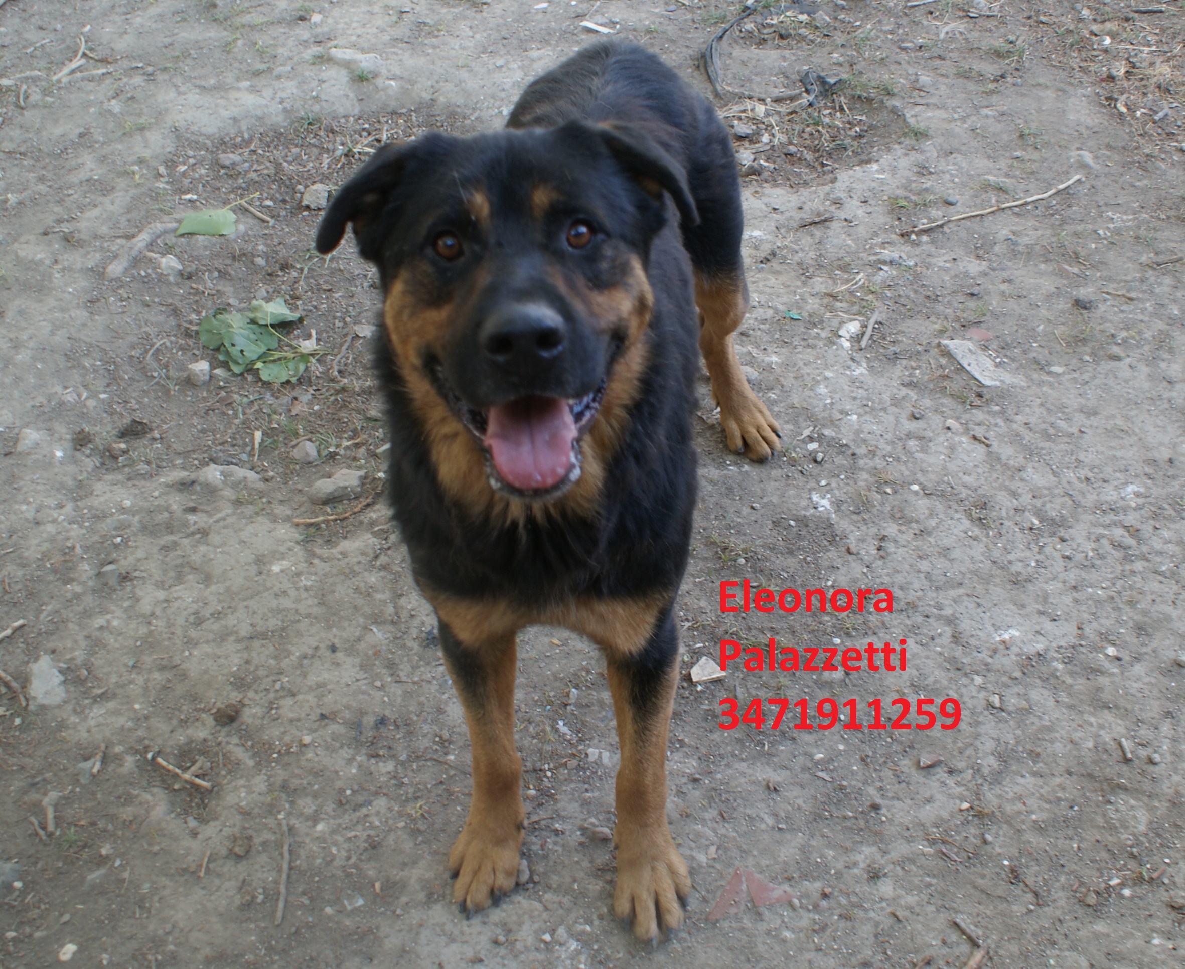 Roy 15.7.2020 n. 2