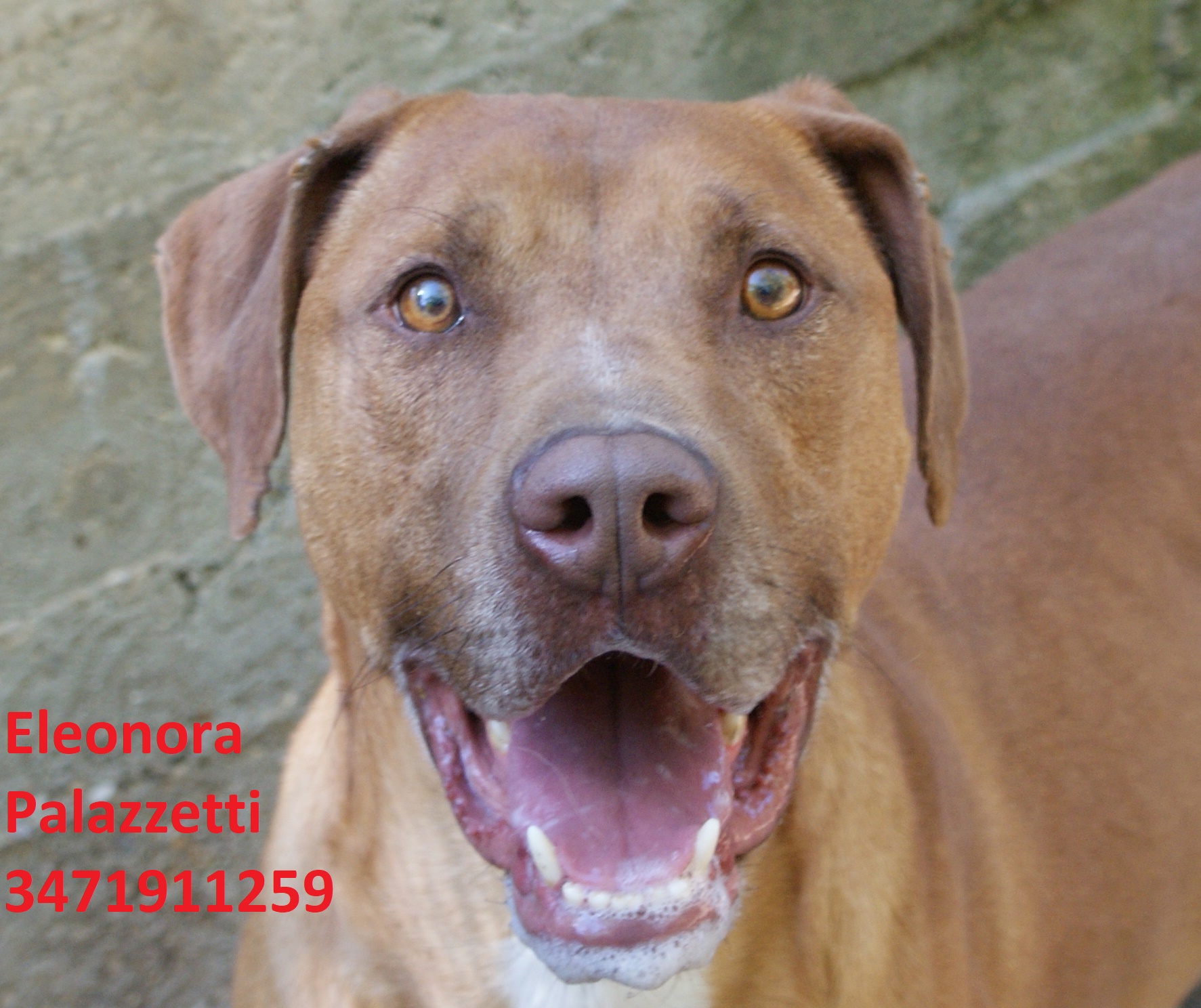 Vasco 22.5.2020 n. 6