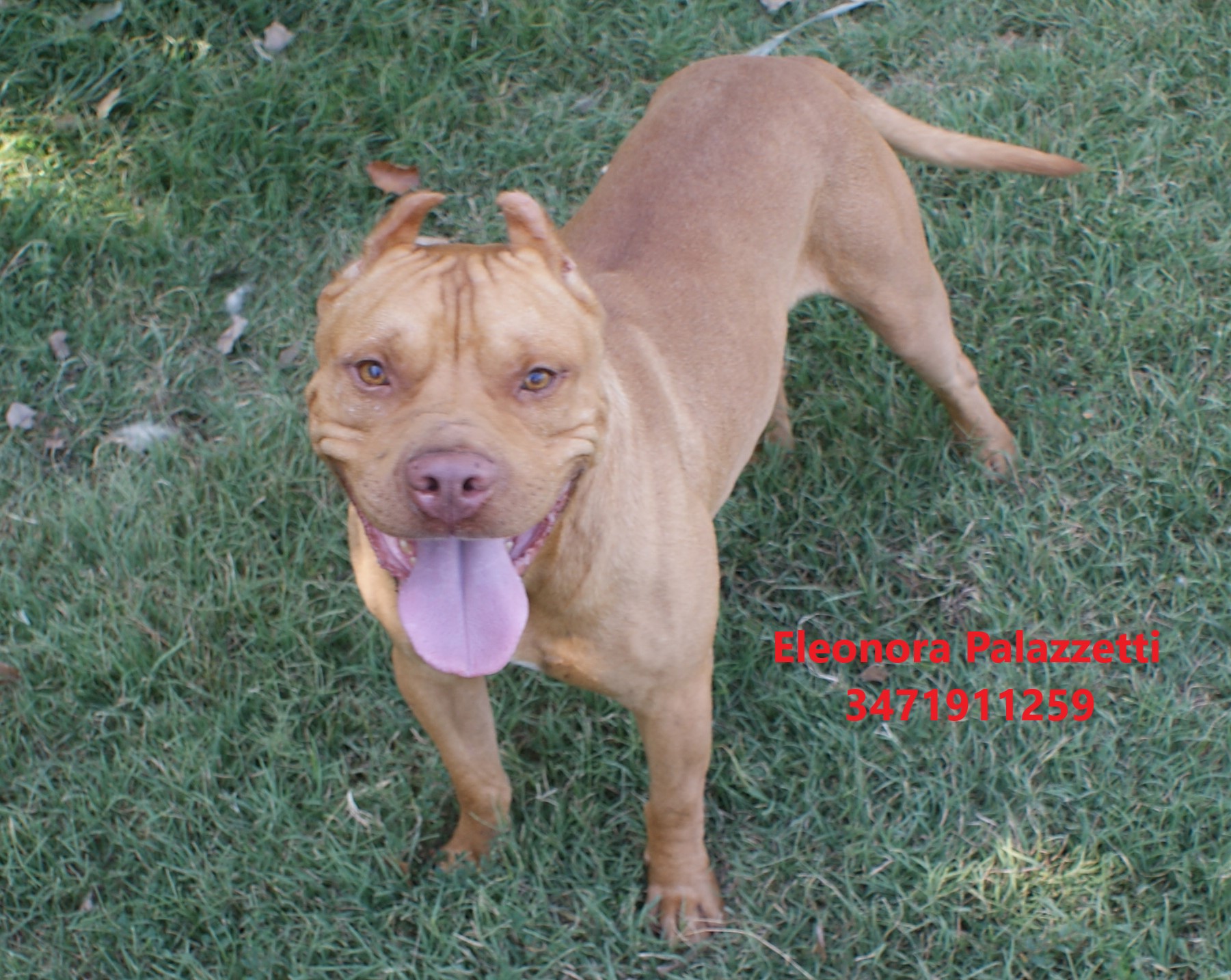 Sonny Junior 9.7.2021 n. 10