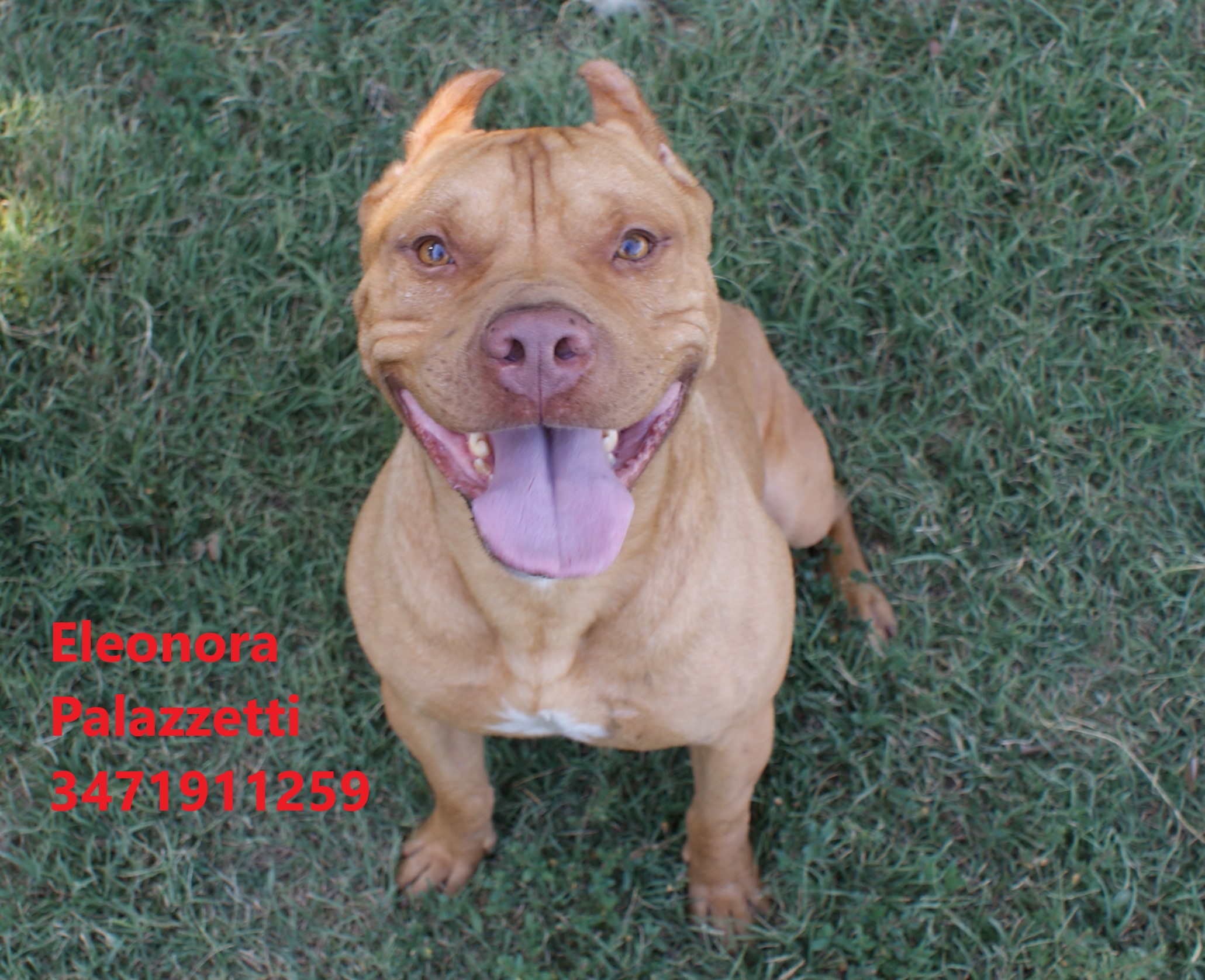 Sonny Junior 9.7.2021 n. 11