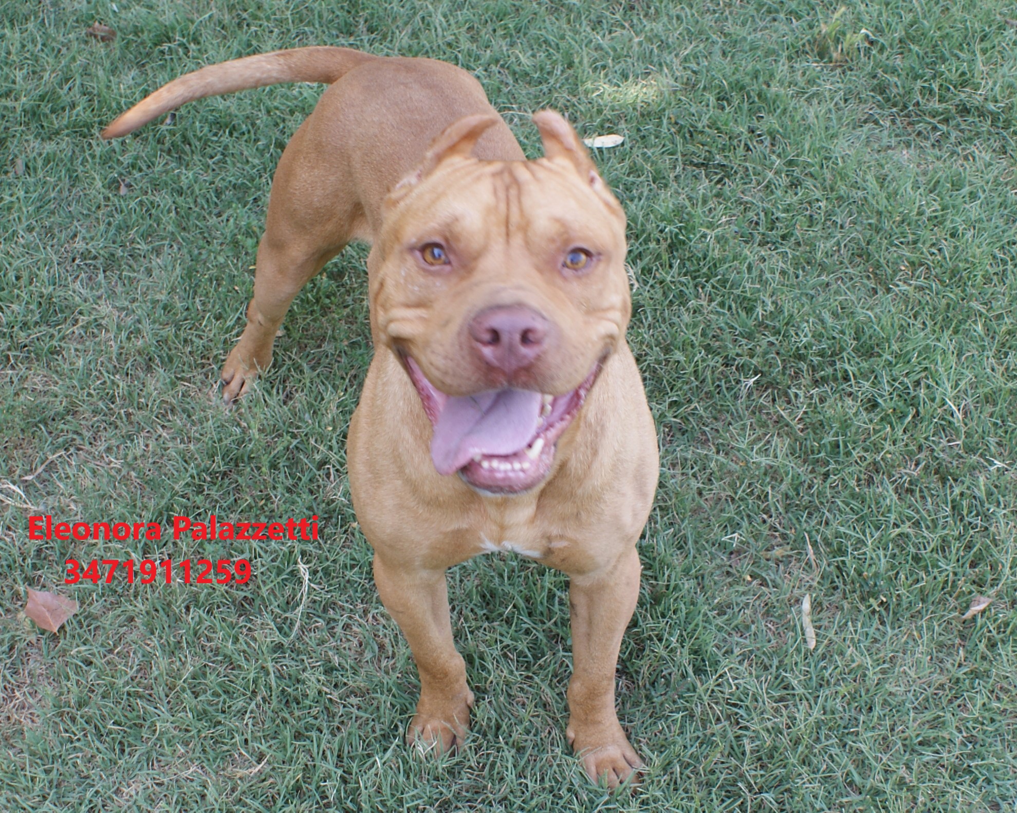 Sonny Junior 9.7.2021 n. 5