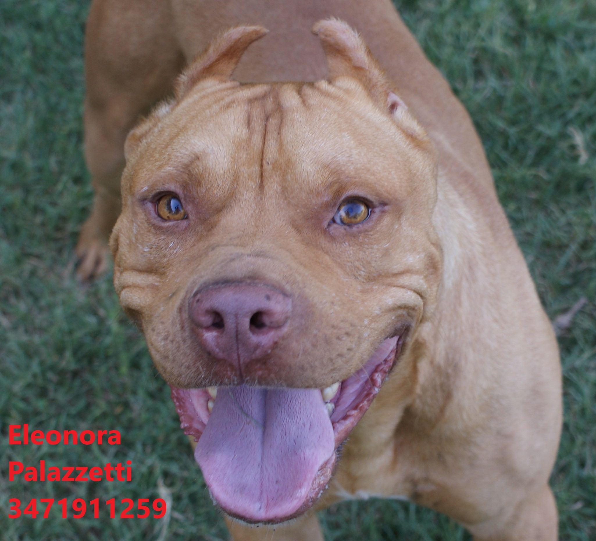 Sonny Junior 9.7.2021 n. 6