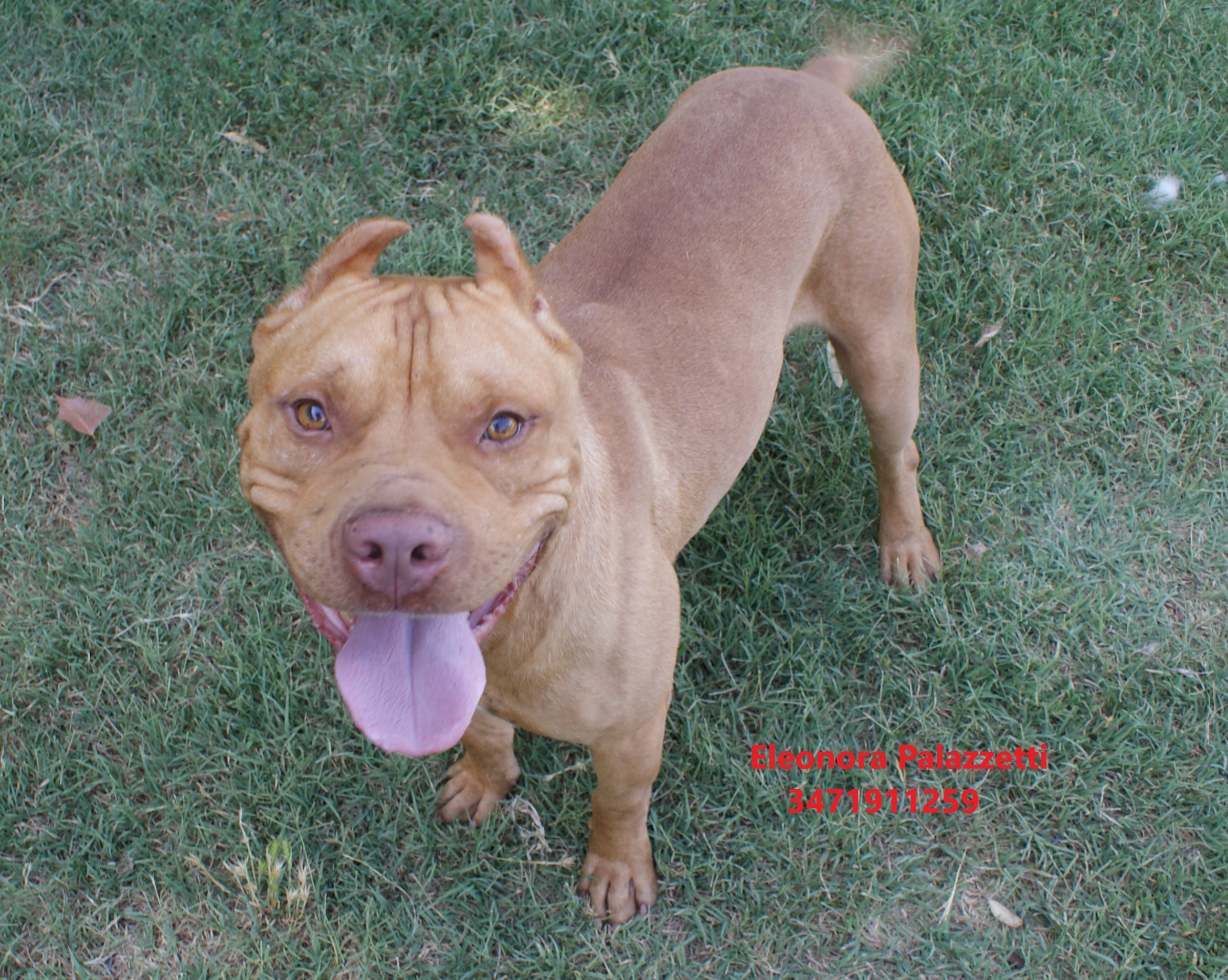 Sonny Junior 9.7.2021 n. 8