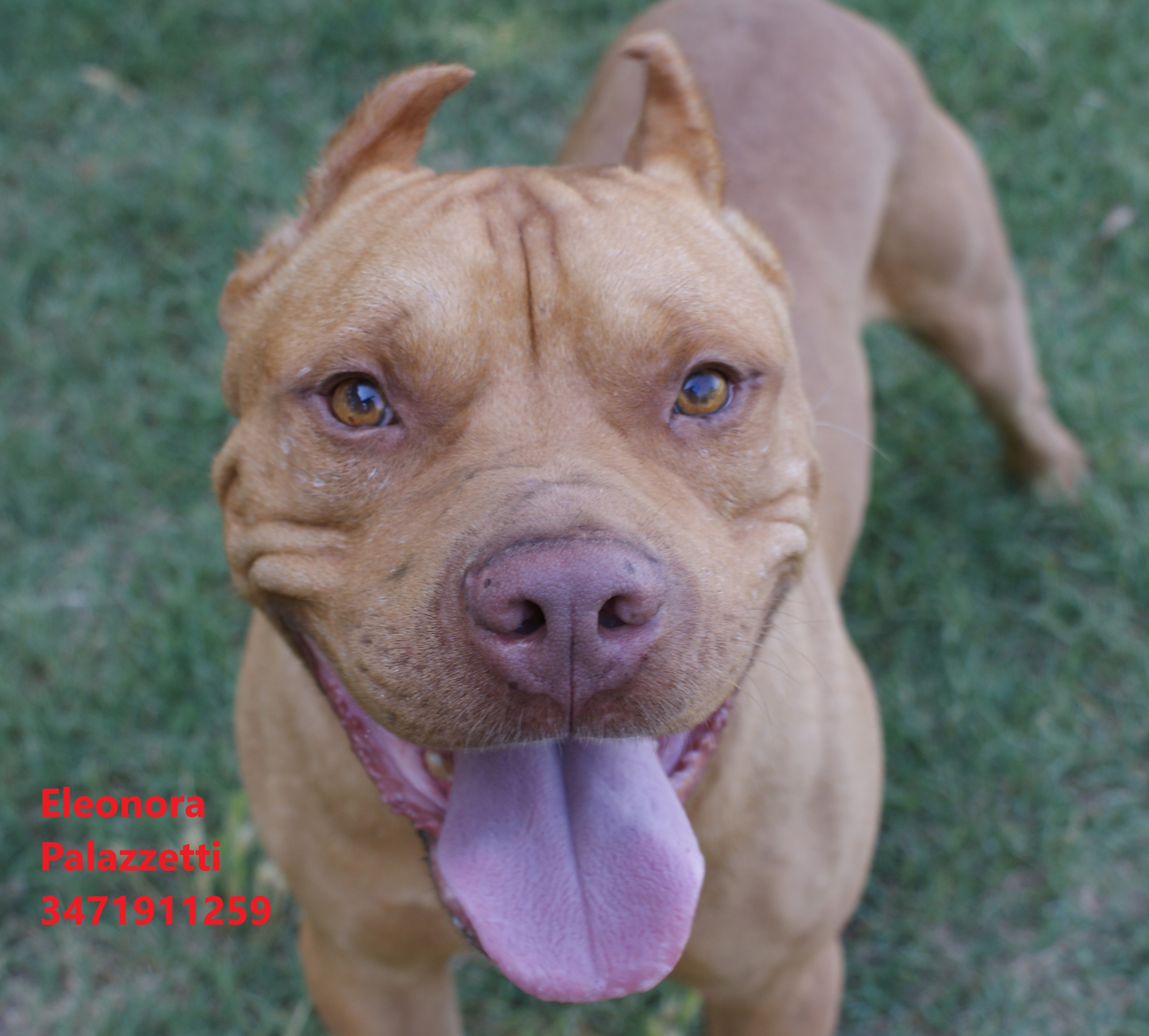 Sonny Junior 9.7.2021 n. 9