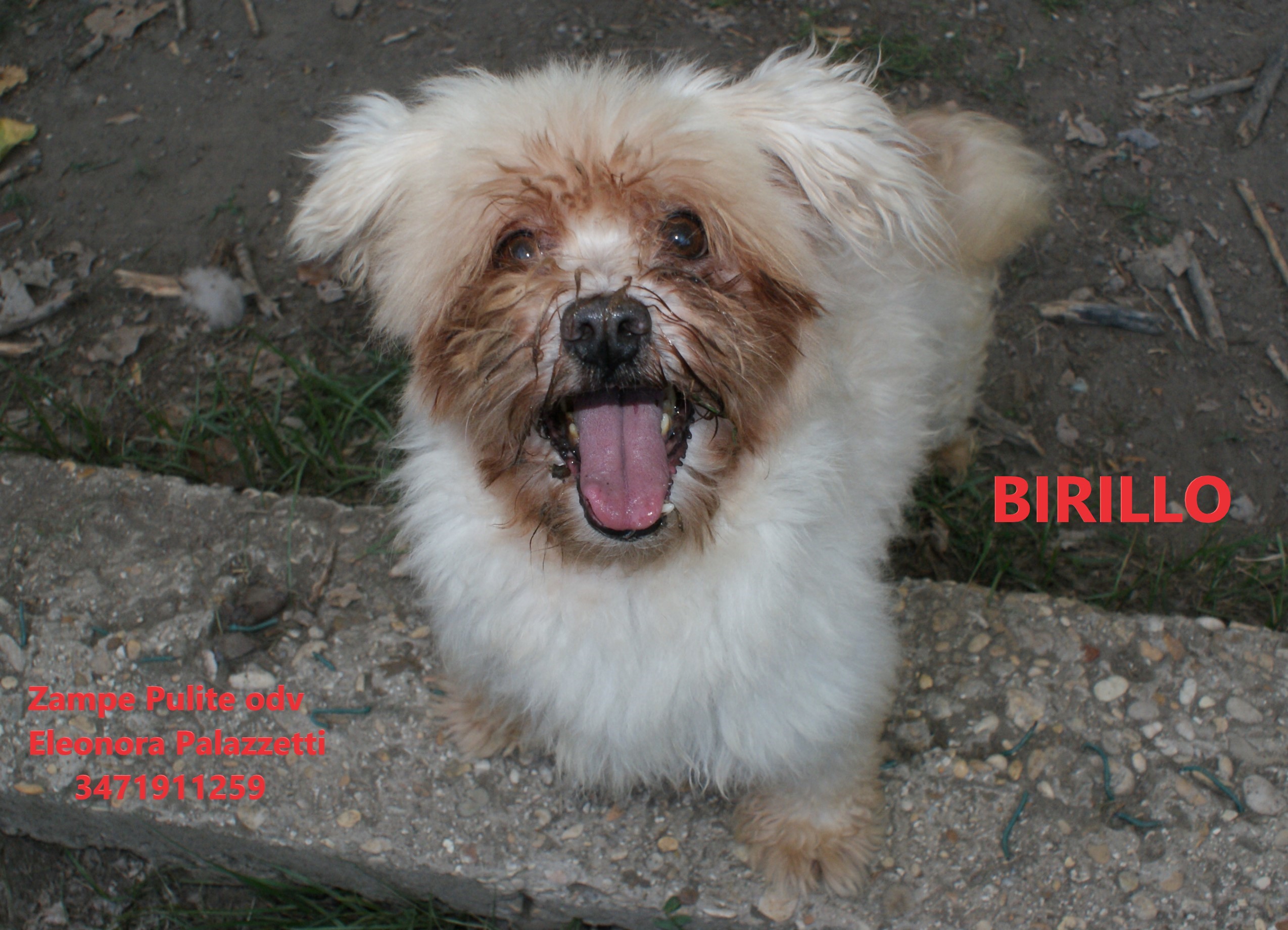 Birillo n. 1