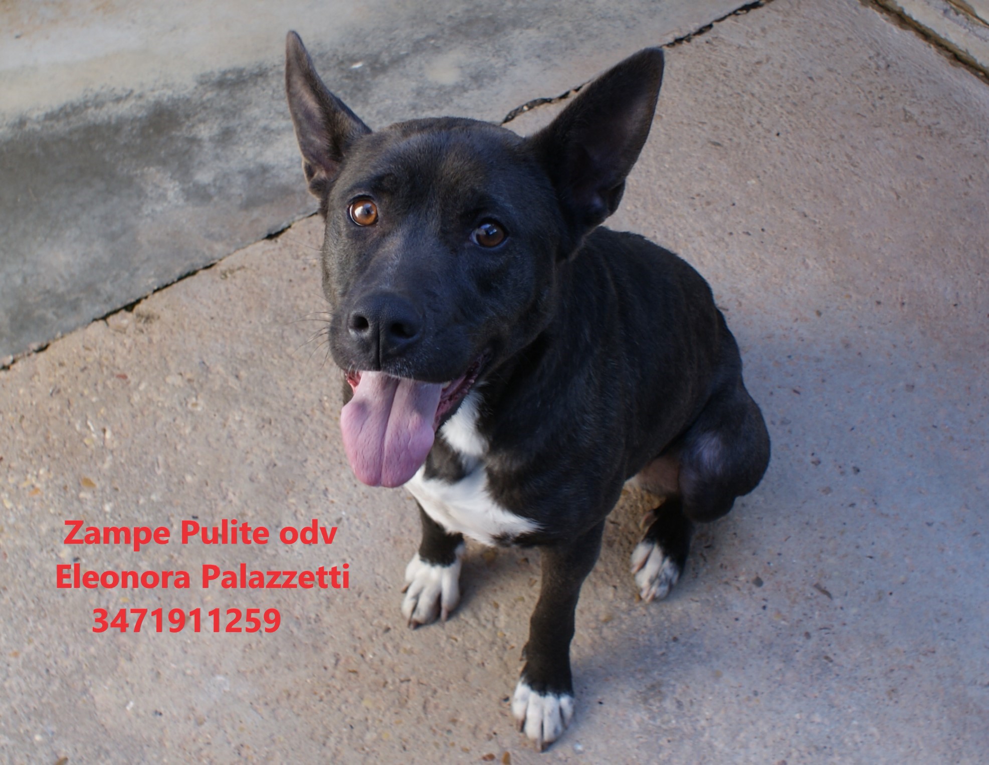 Ludmilla 17.03.2023 n. 11