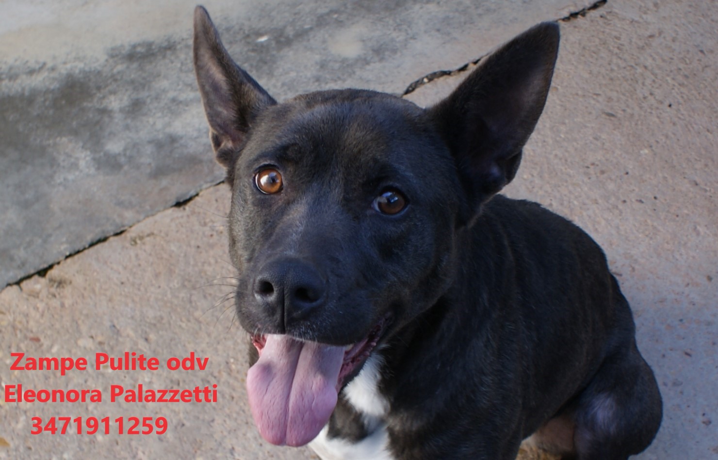 Ludmilla 17.03.2023 n. 13