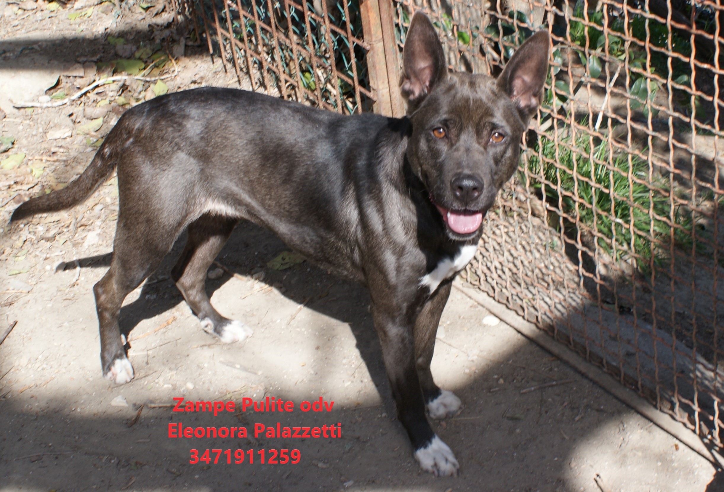 Ludmilla 17.03.2023 n. 3