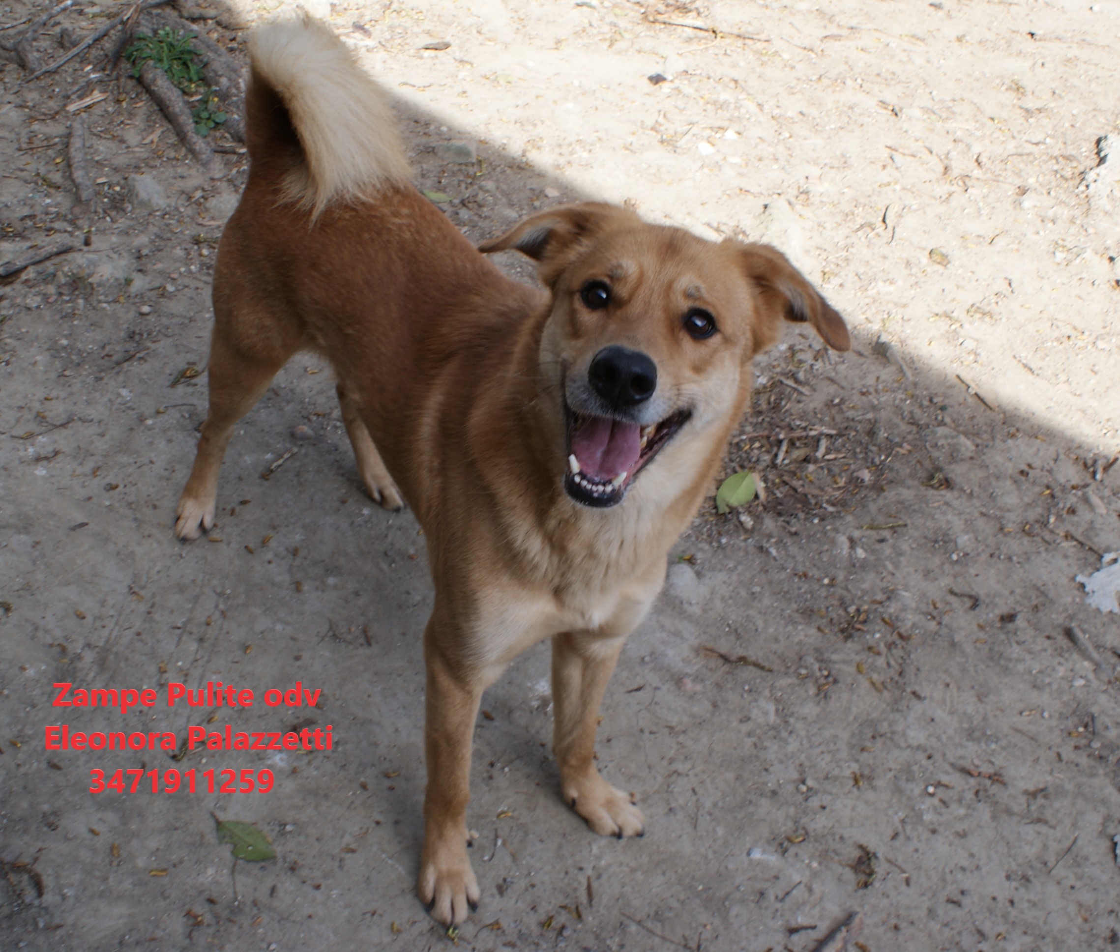Simba 24.03.2023 n. 3