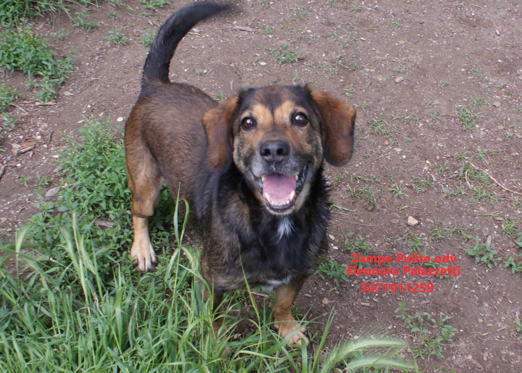 Toby 4.05.2023 n. 3