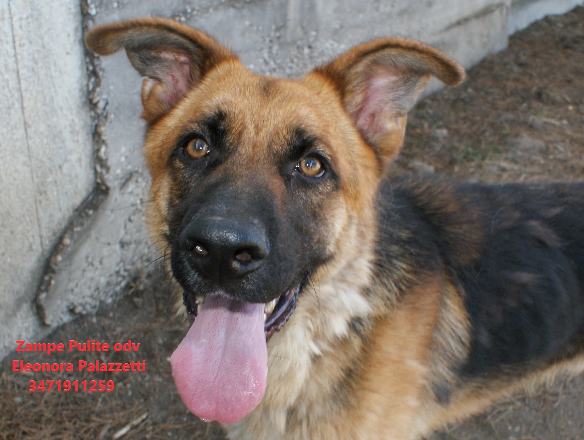 Turi 10.08.2023 n. 6