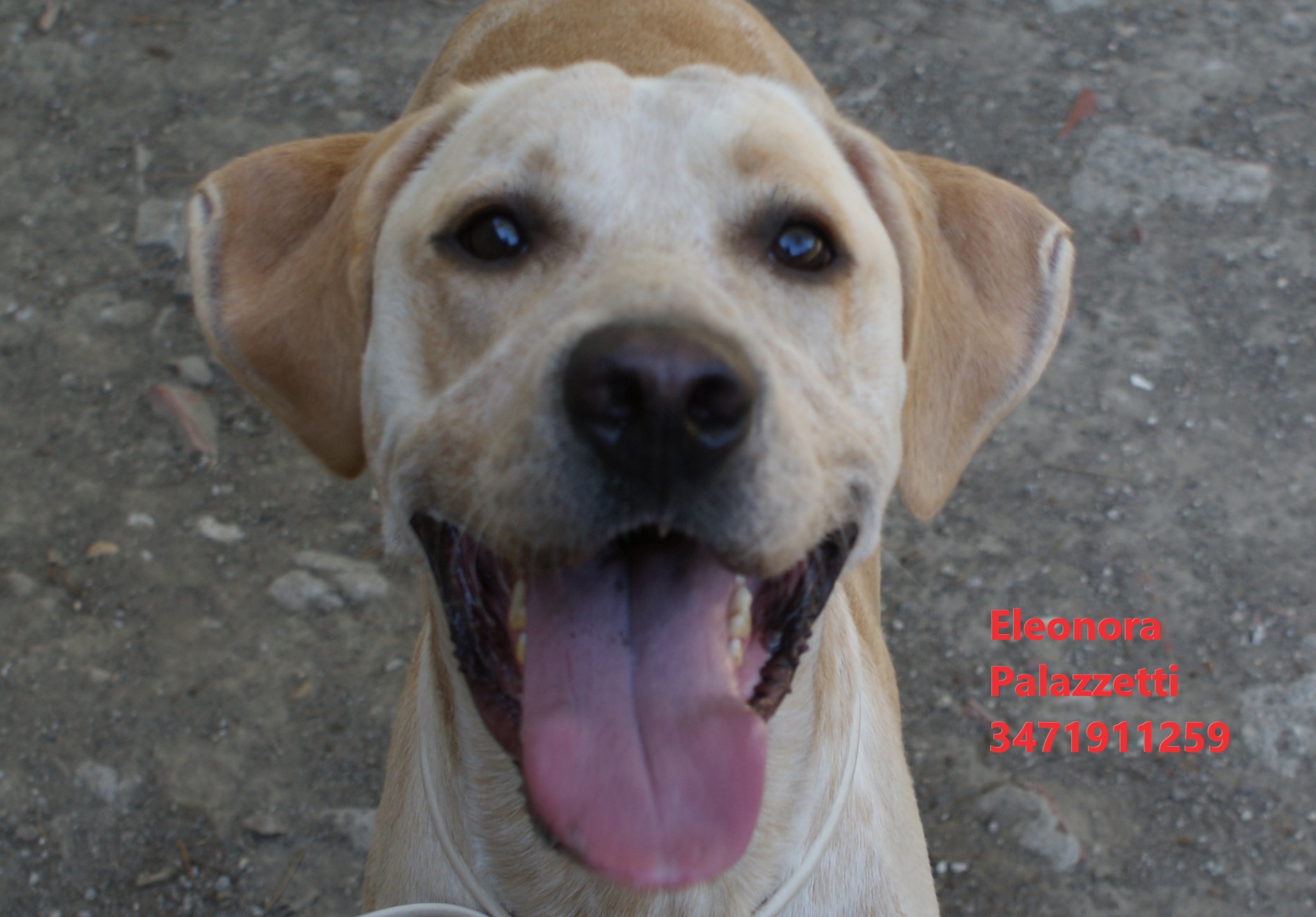 George 2.9.2022 n. 2