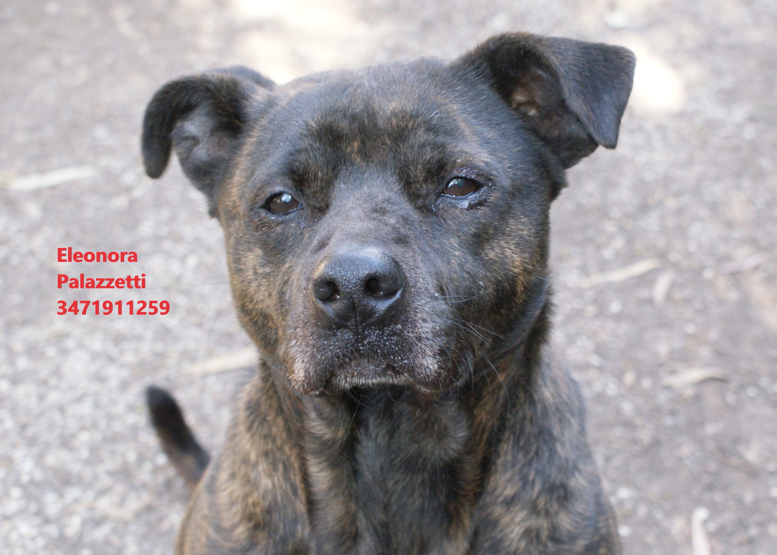 Ino 9.2.2022 n. 4