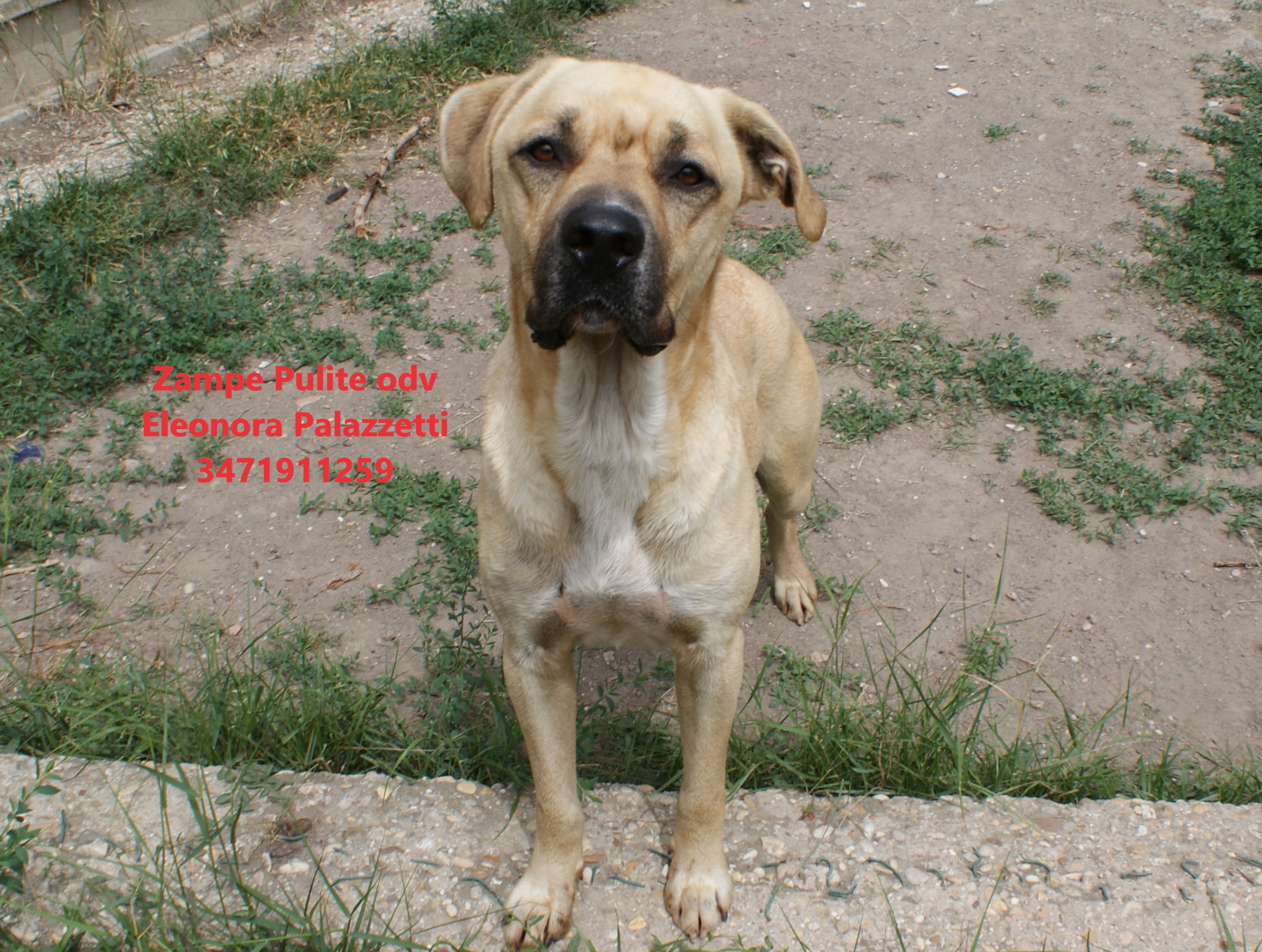 Ercole 20.05.2024 n. 3