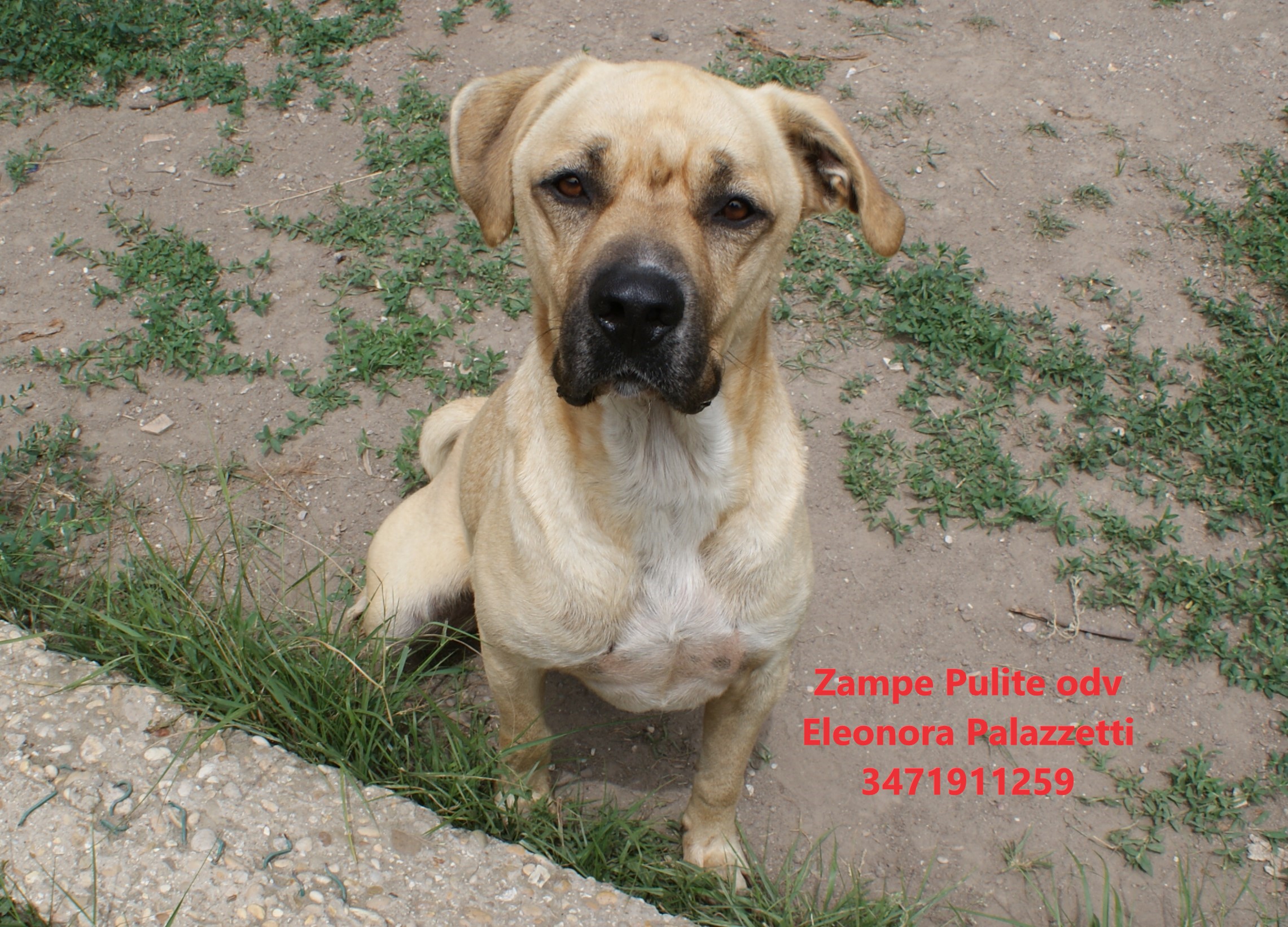 Ercole 20.05.2024 n. 4