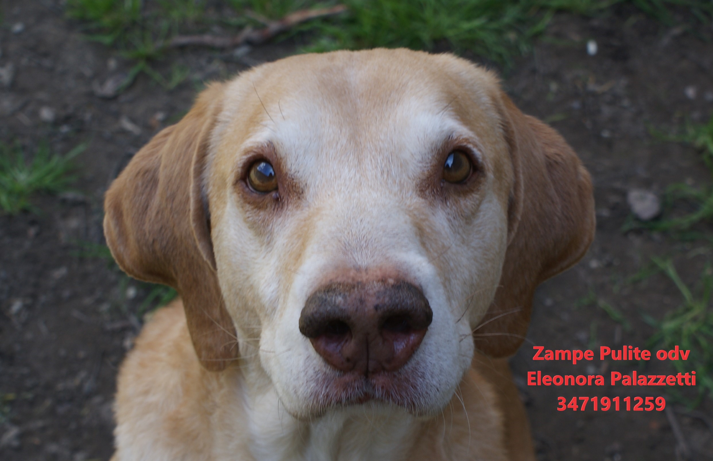 Camillo 26.03.2025 n. 1