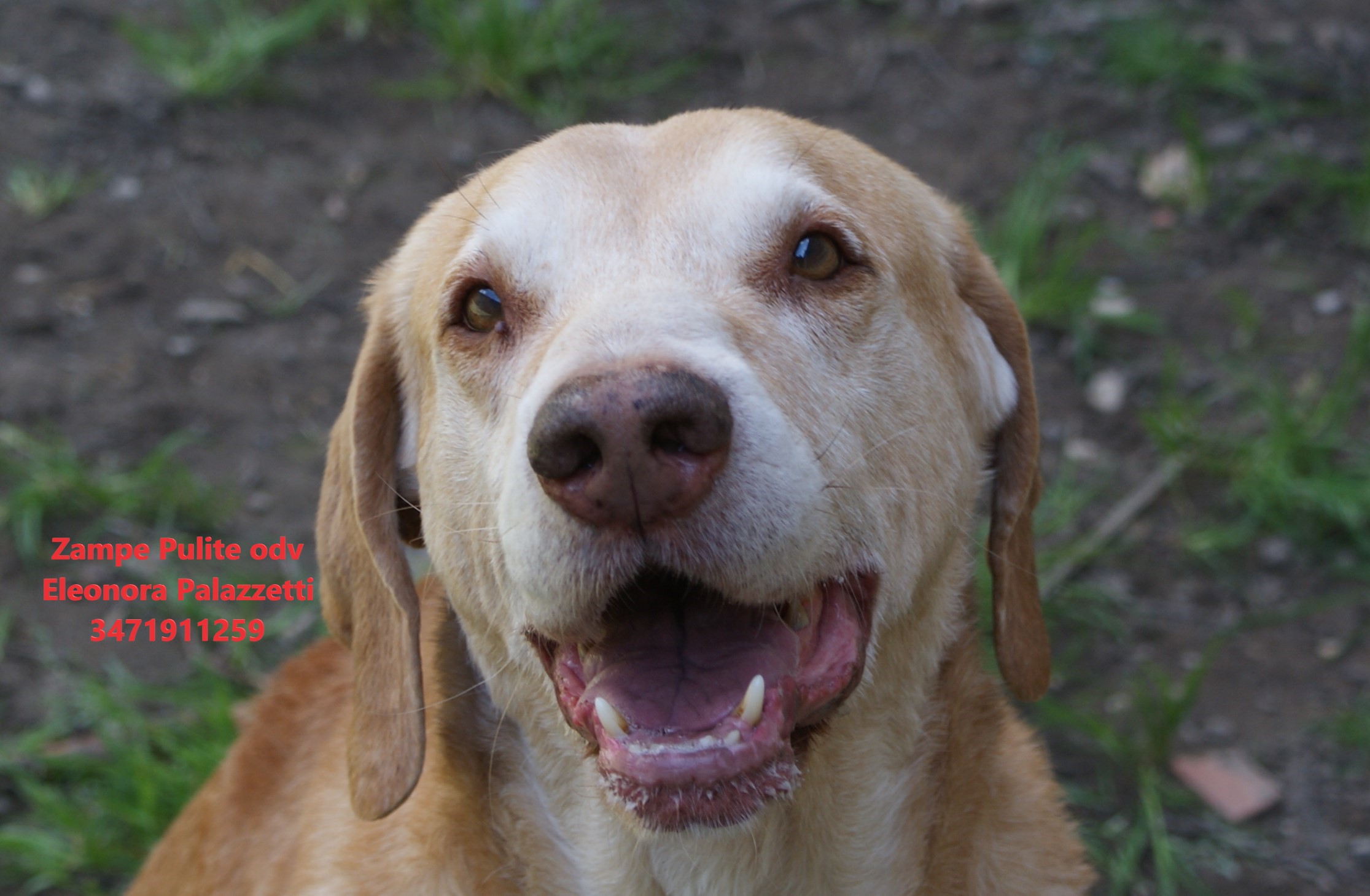 Camillo 26.03.2025 n. 10