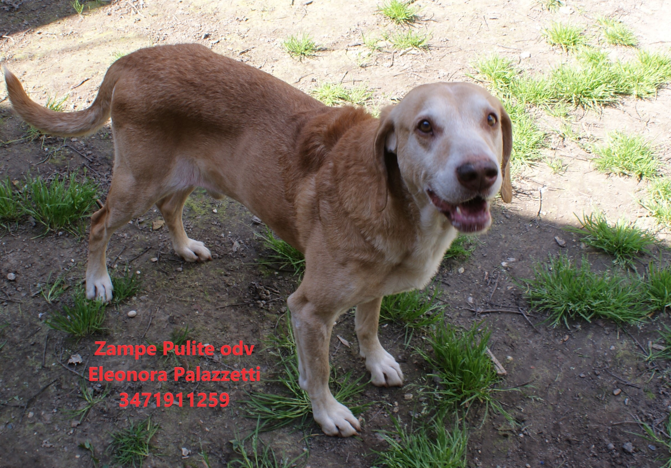 Camillo 26.03.2025 n. 13