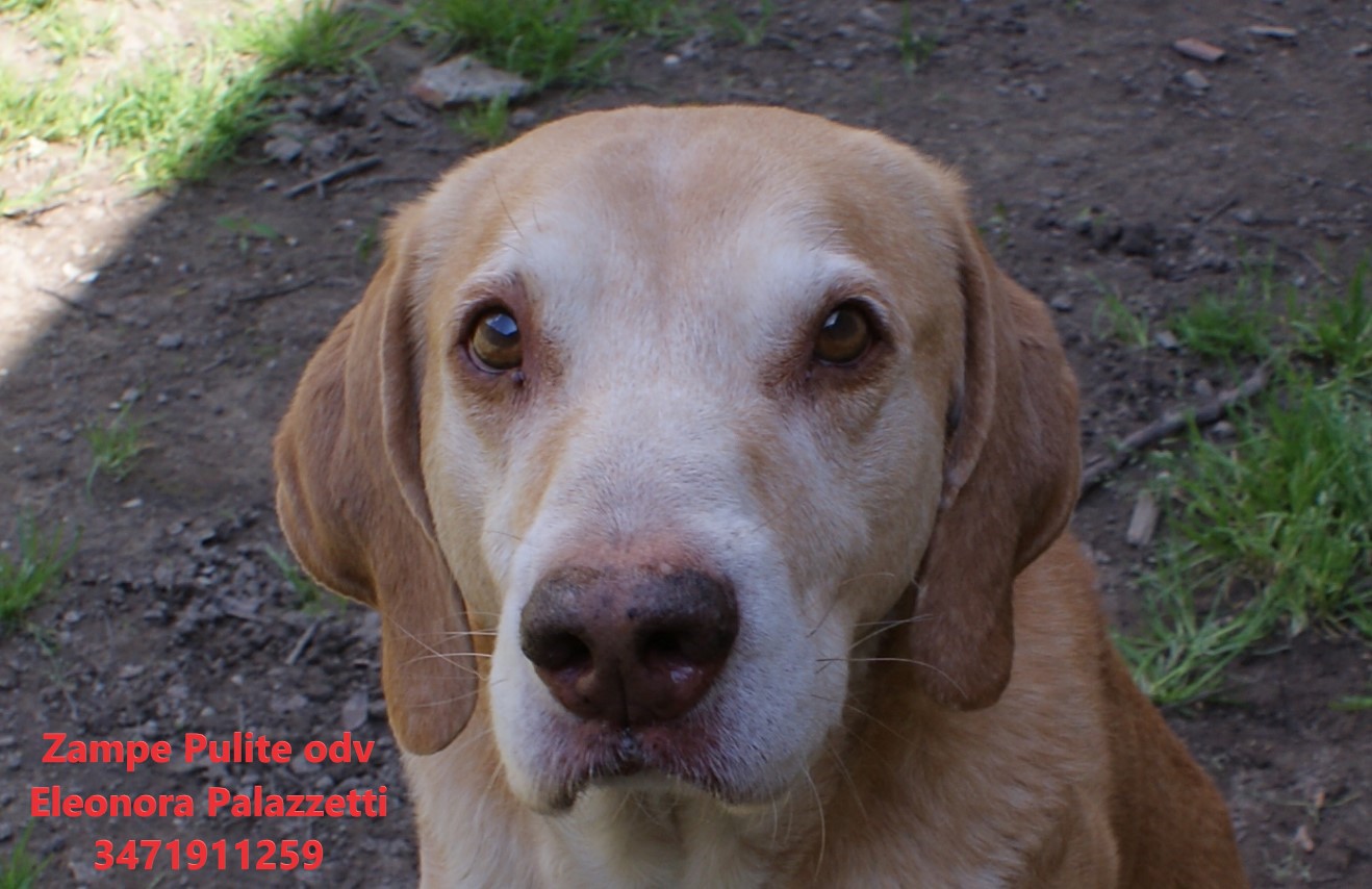 Camillo 26.03.2025 n. 2