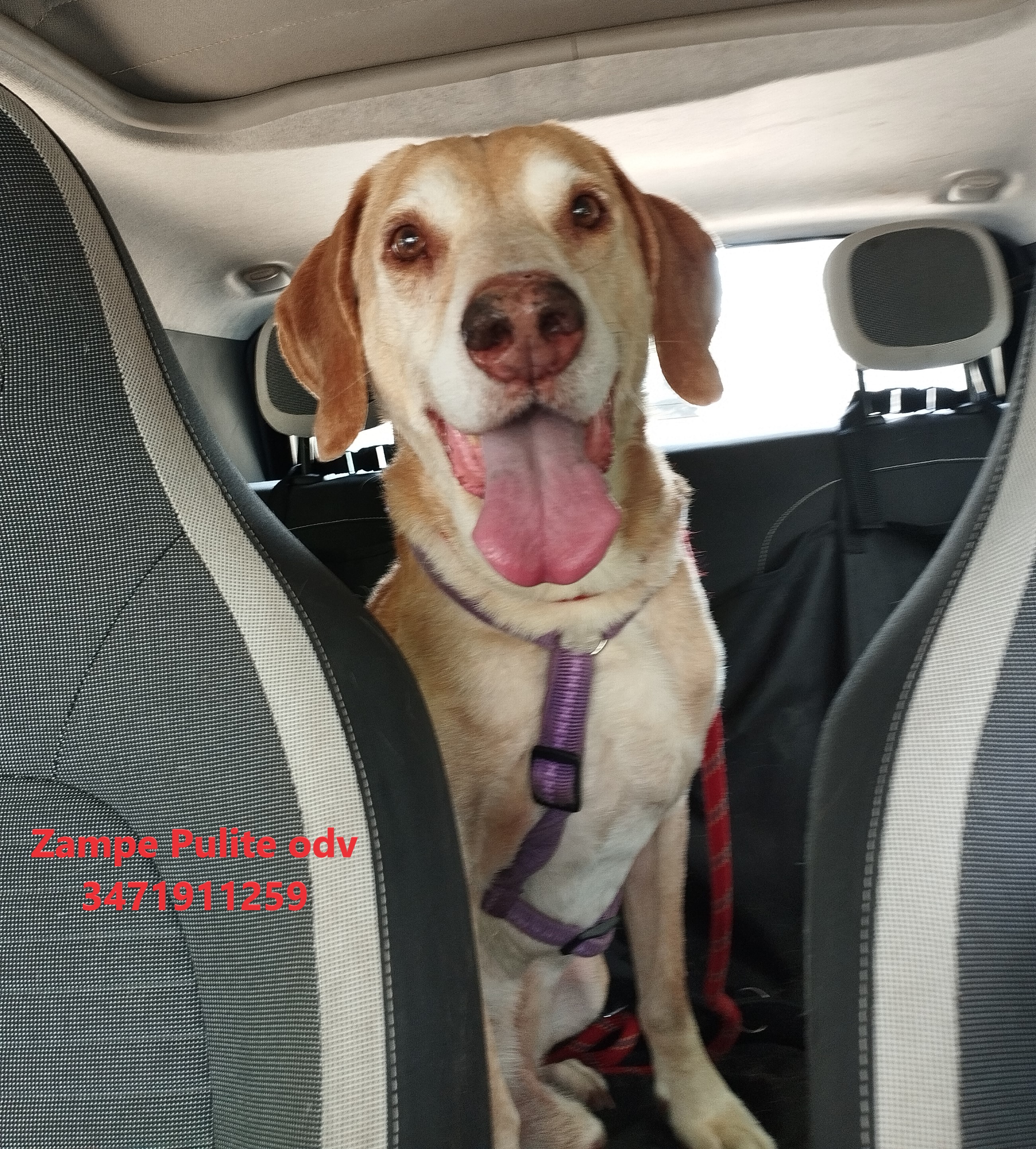 Camillo 27.05.2025 n. 1