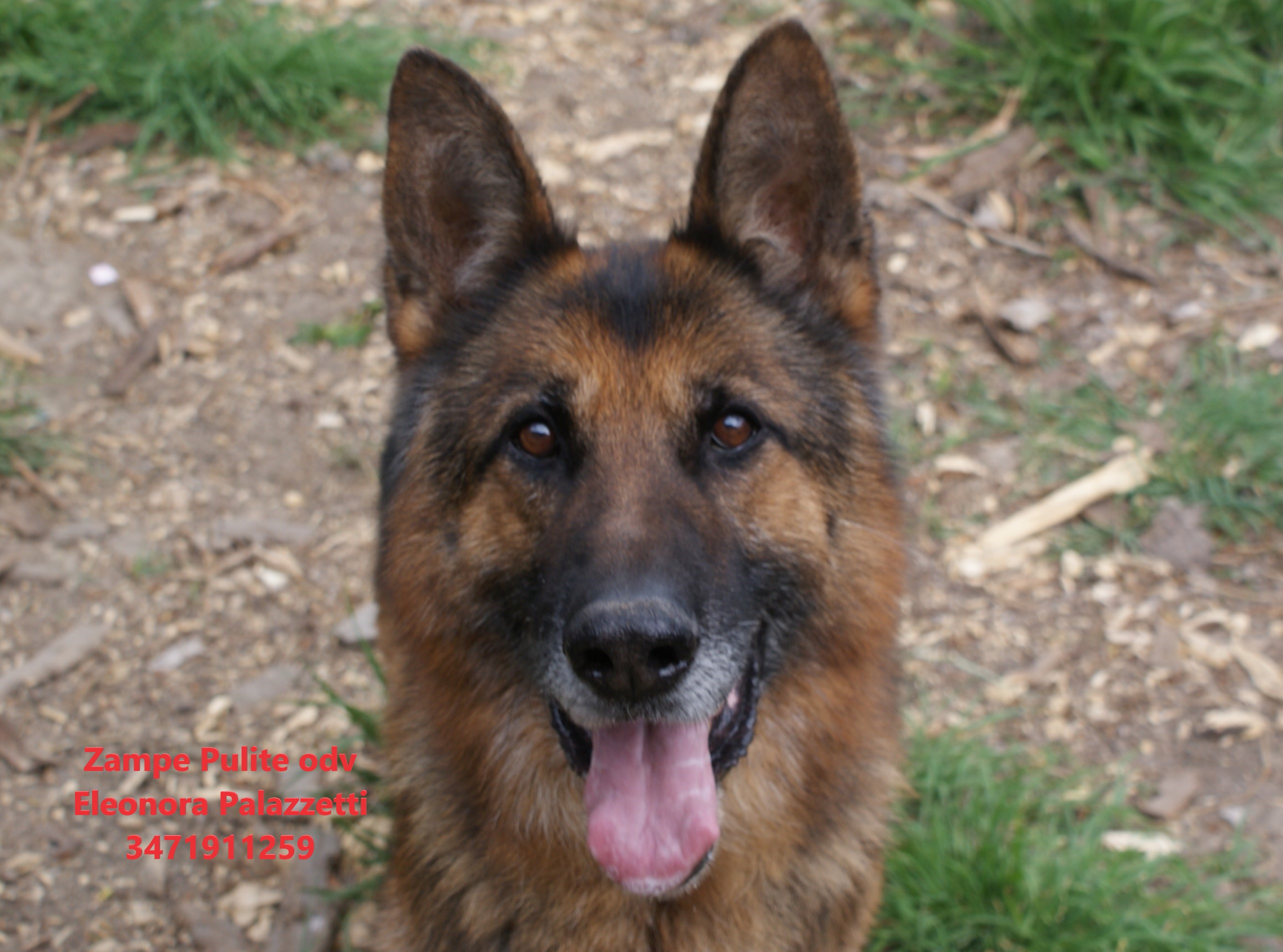 Claus 14.04.2026 n. 2