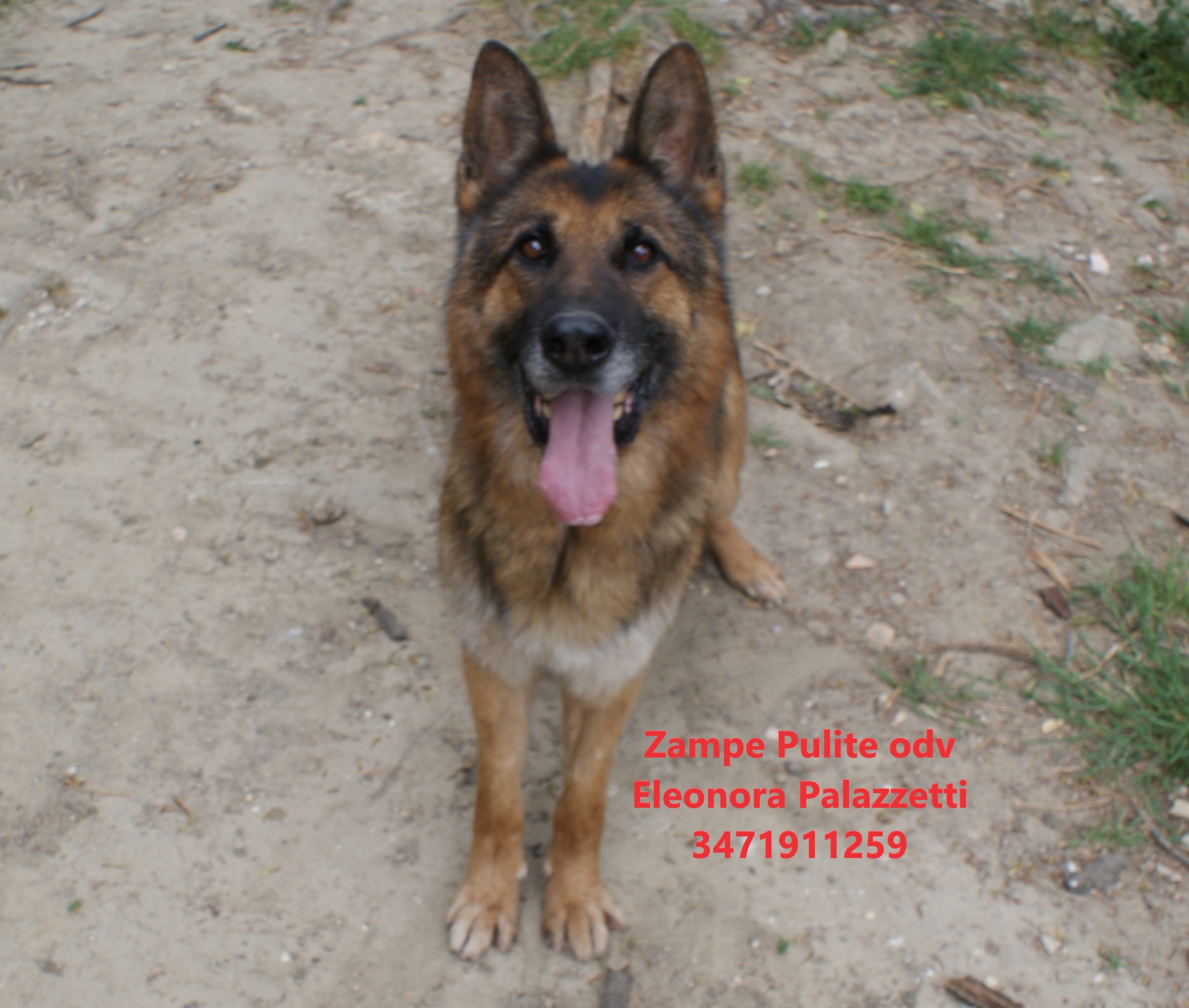 Claus 14.04.2026 n. 9