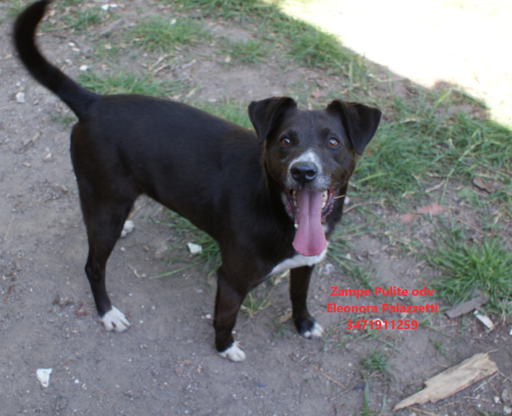 Otto 23.04.2026 n. 12