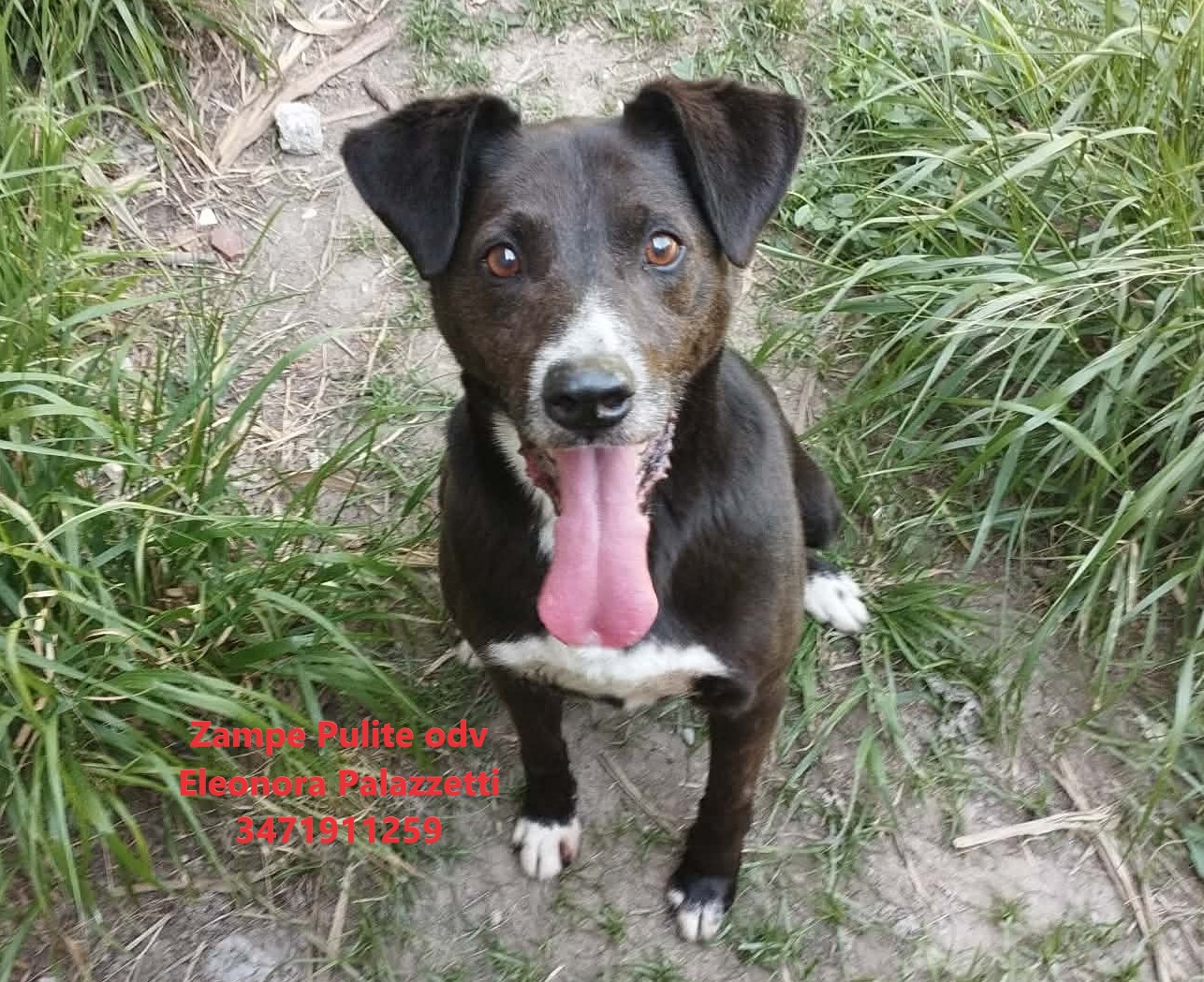 Otto 23.04.2026 n. 2