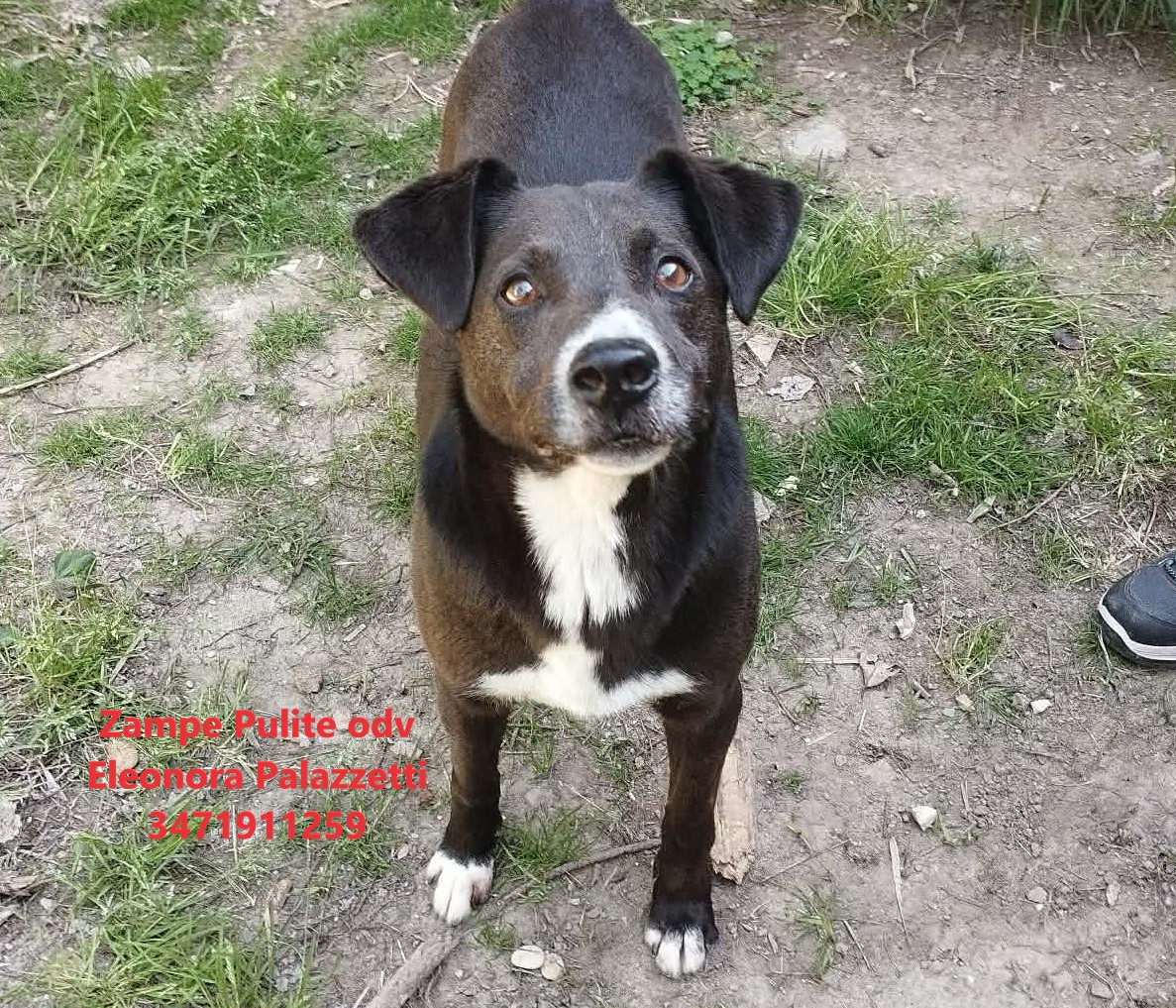 Otto 23.04.2026 n. 4