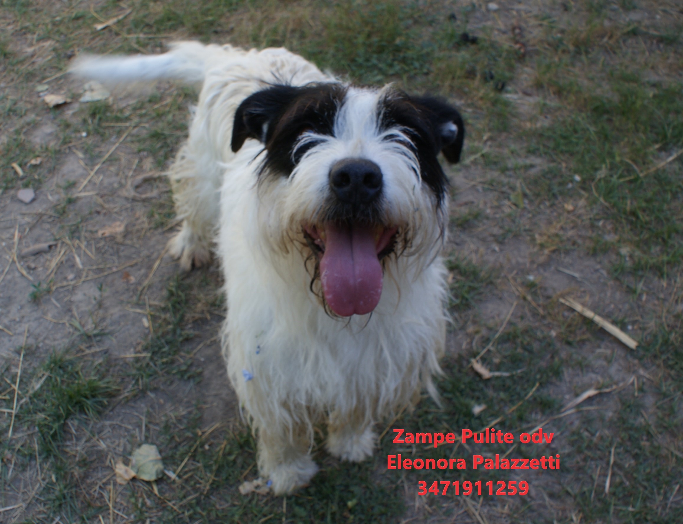 Watson 16.06.2026 n. 1