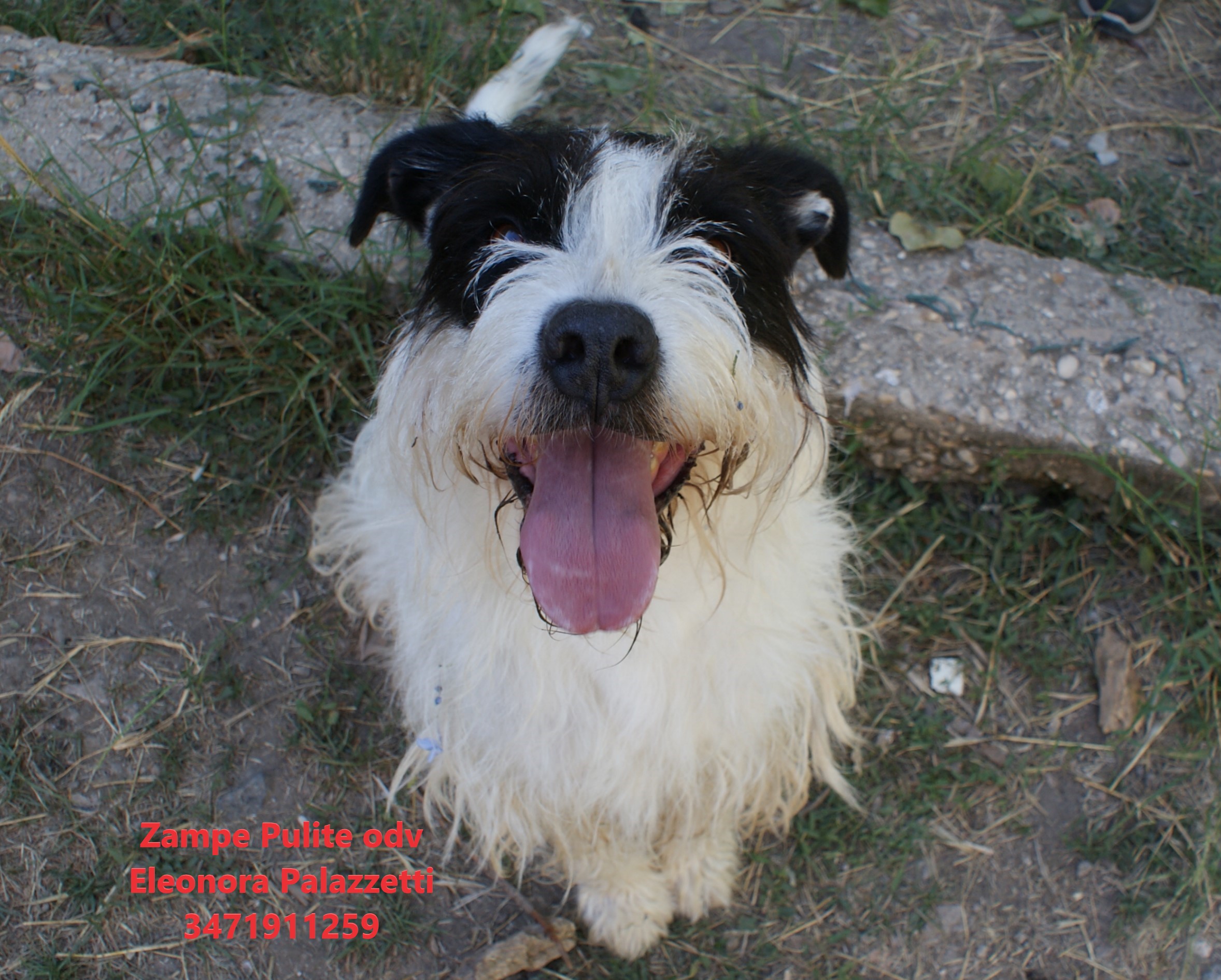 Watson 16.06.2026 n. 12
