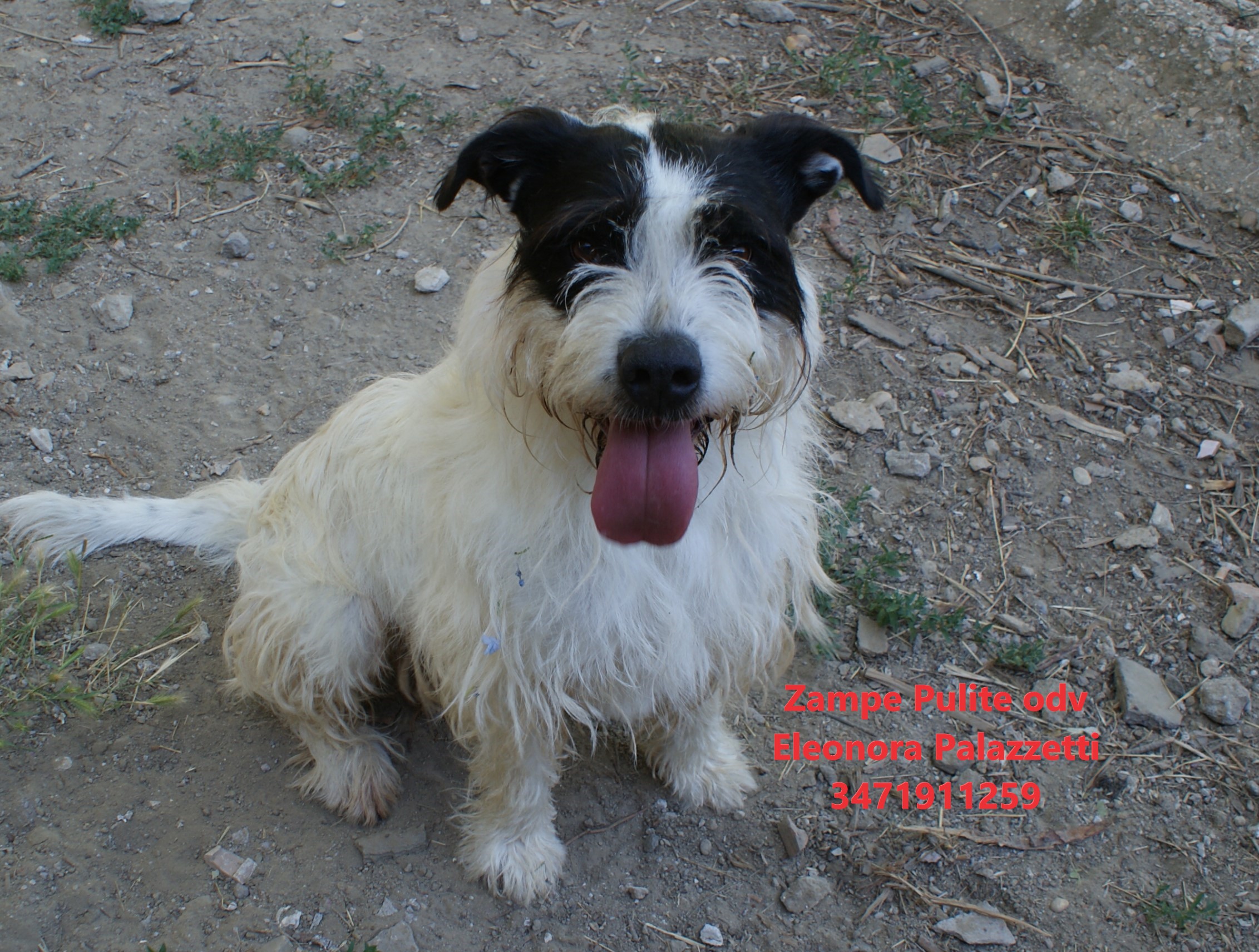 Watson 16.06.2026 n. 15
