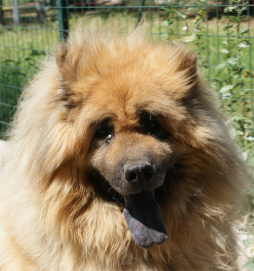 argo_18.8.2011_n._2.jpg