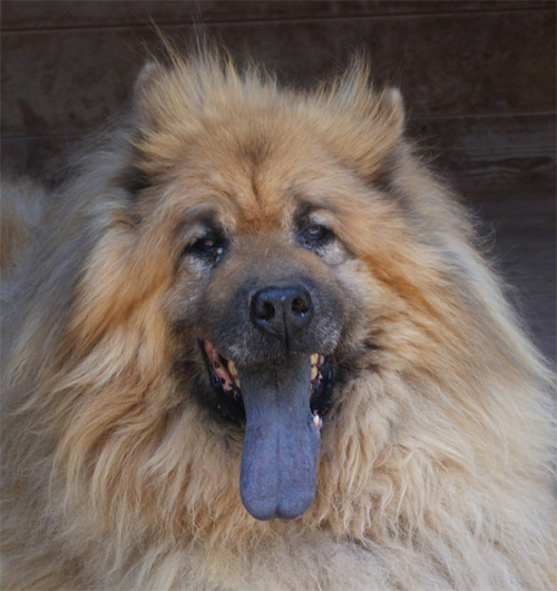 argo_18.8.2011_n._4.jpg