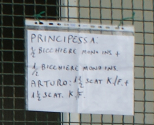 art_nero_recinto_con_nome_cambiato_5.04.2012.jpg