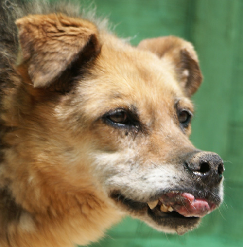 asia_18.06.2012_n._7.jpg