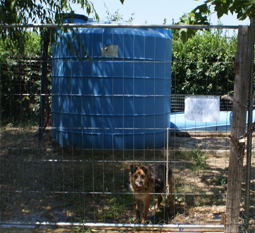 asia_27.6.2012_n._1.jpg