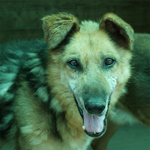 asia_6.07.2012_n._4.jpg