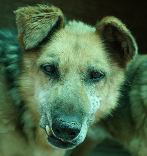 asia_6.07.2012_n._6.jpg