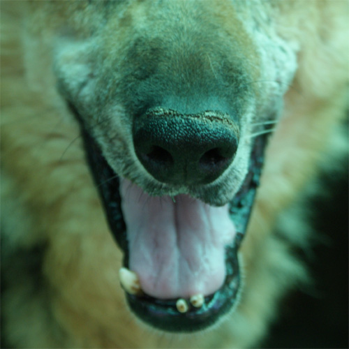 asia_6.07.2012_n._8.jpg