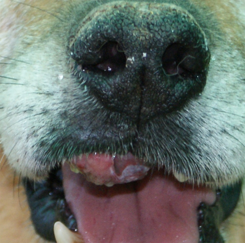 asia_8.06.2012_n._4.jpg