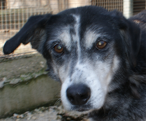 bruno_8.02.2012_n._1.jpg